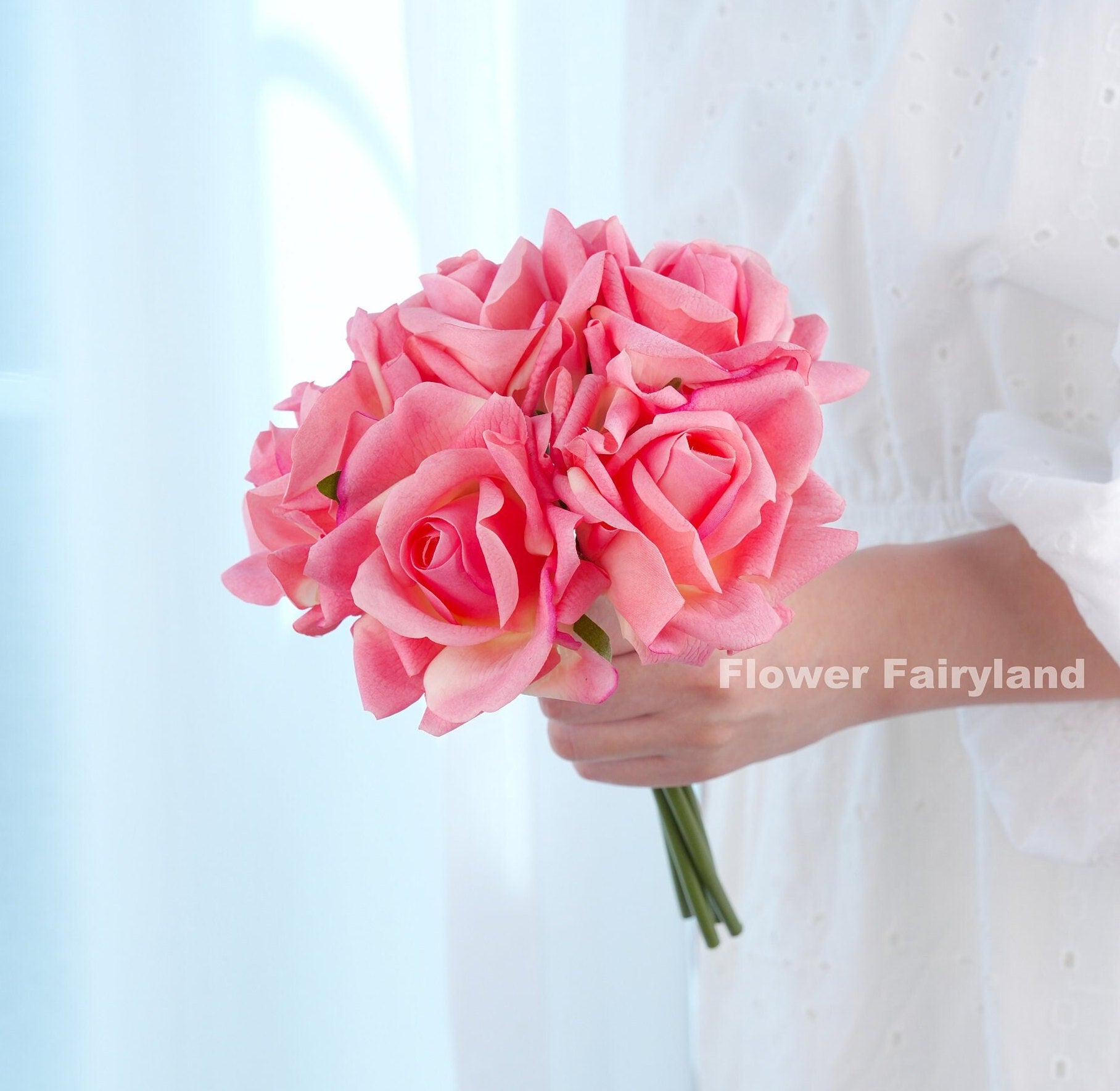 Blush pink roses close-up