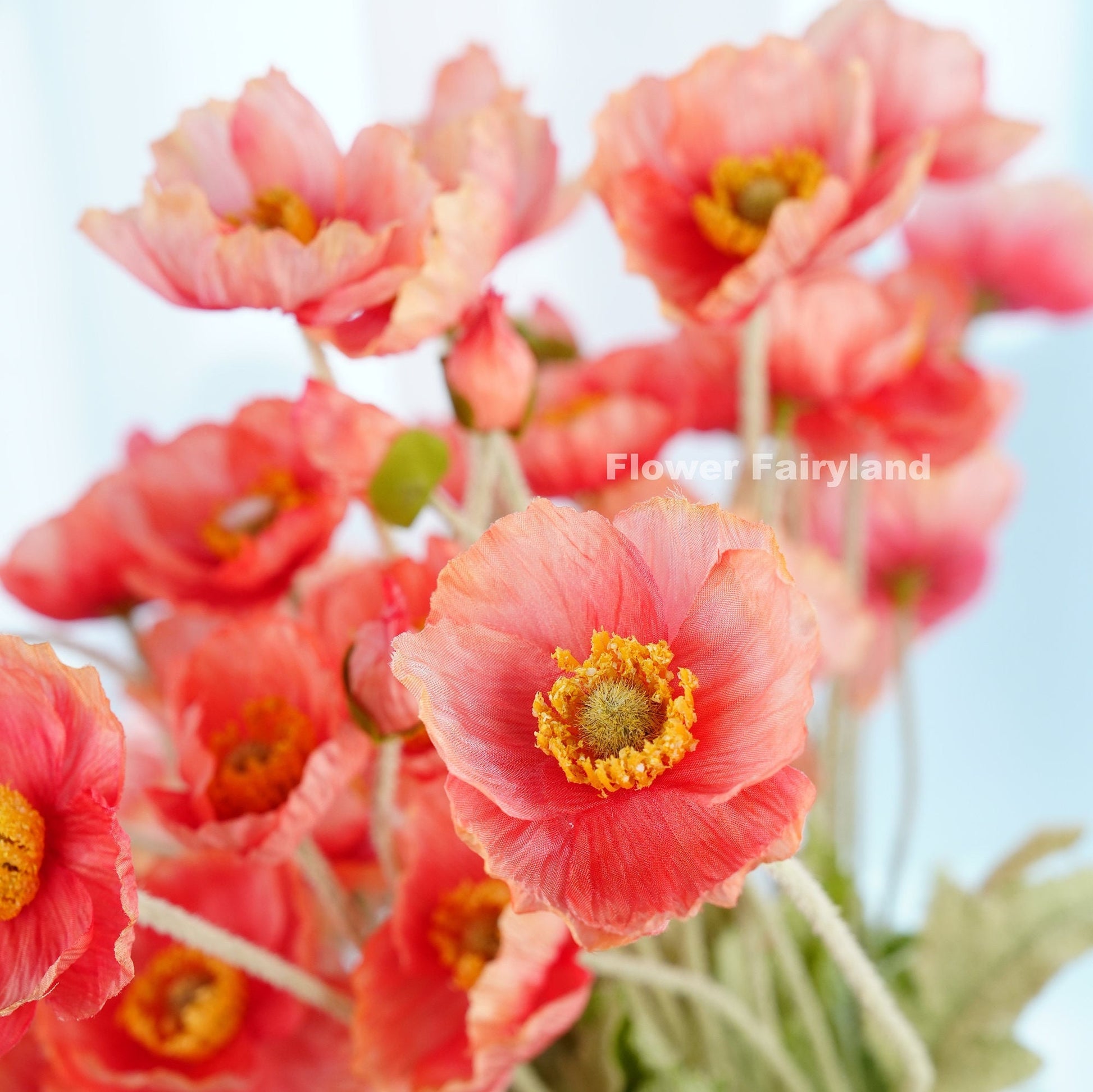 Reddish salmon poppy arrangement