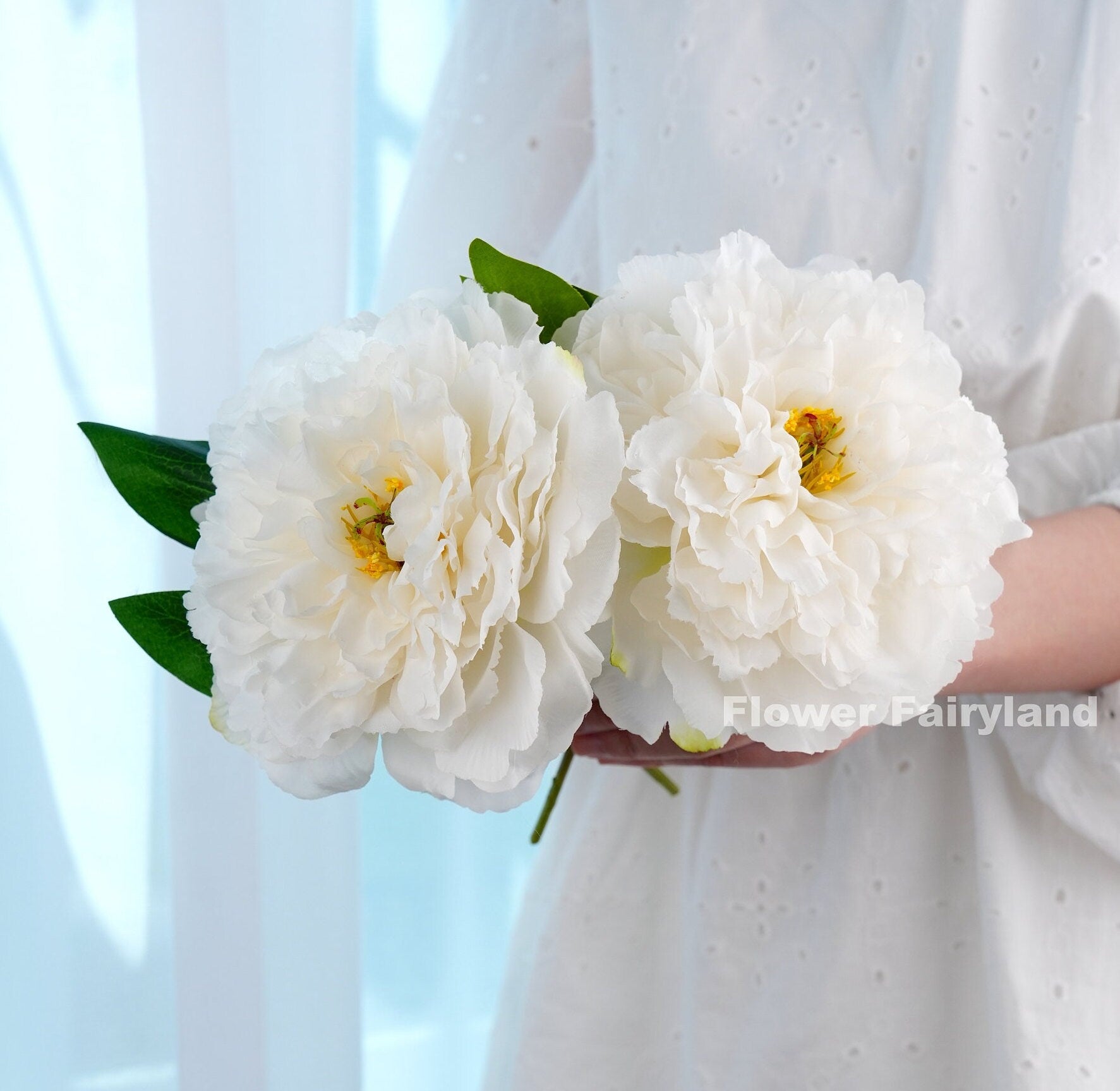White huge peony bloom held in hand