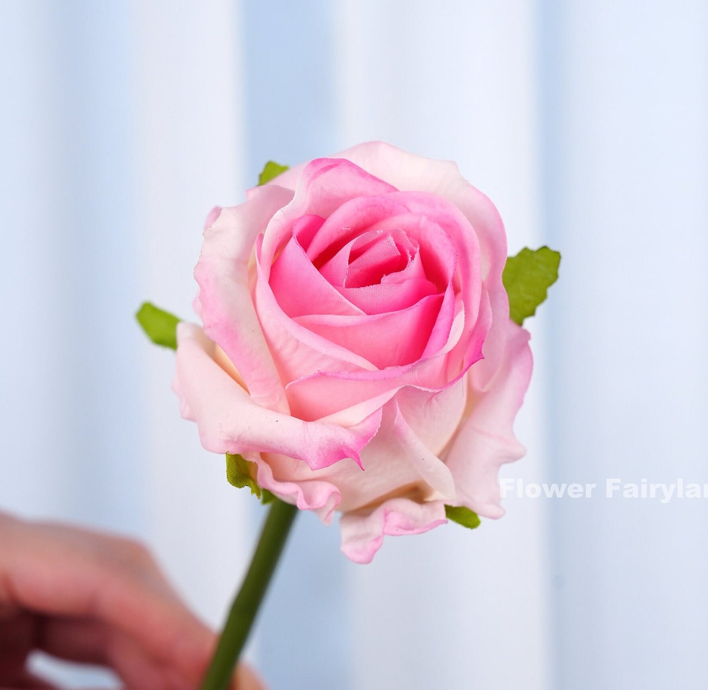 Pink rose bouquet held in hand