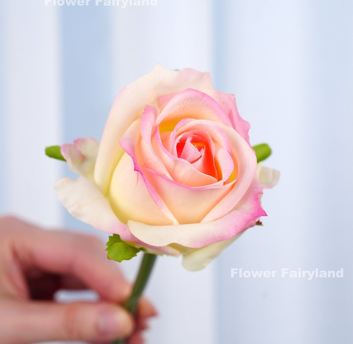 Yellow pink rose bouquet held in hand