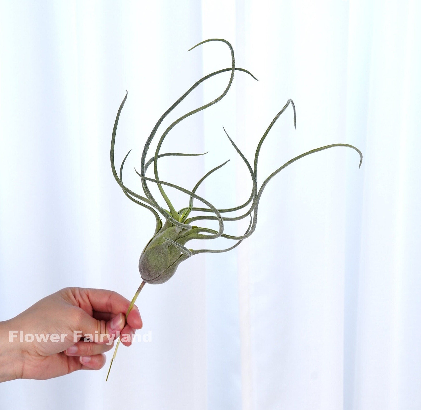 Tall faux air plant styled in decor