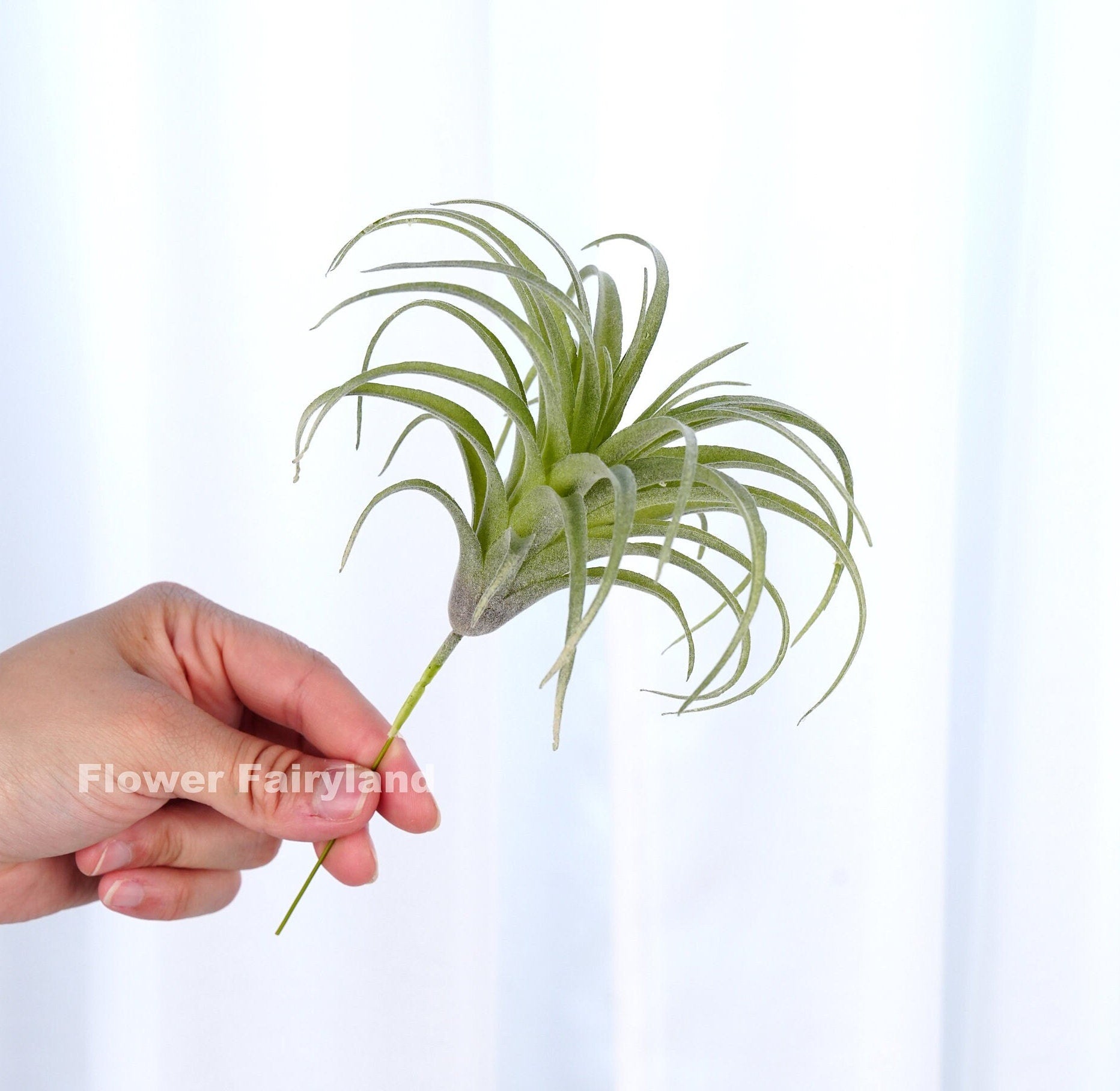 Faux air plant styled in decor