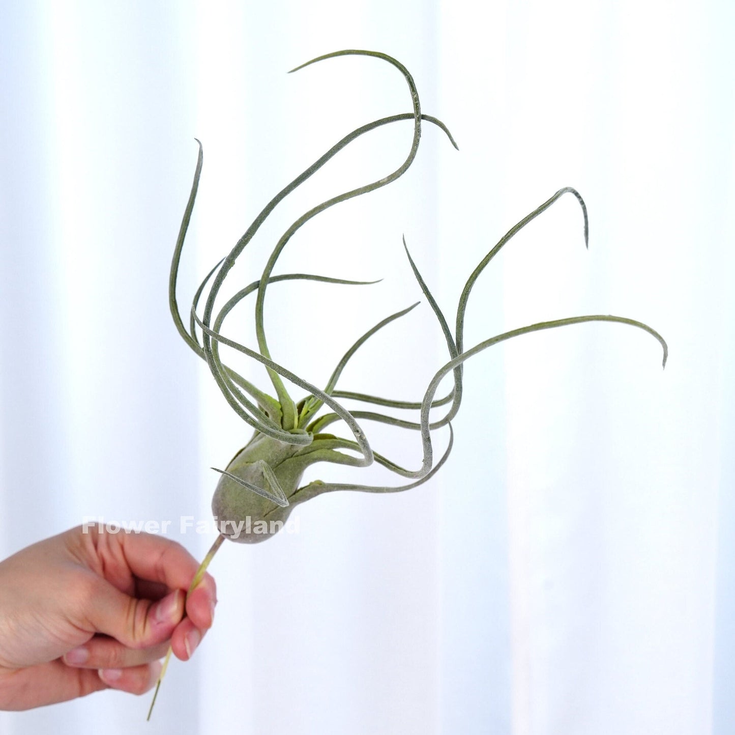 Faux air plant 14 inch with long curling fronds