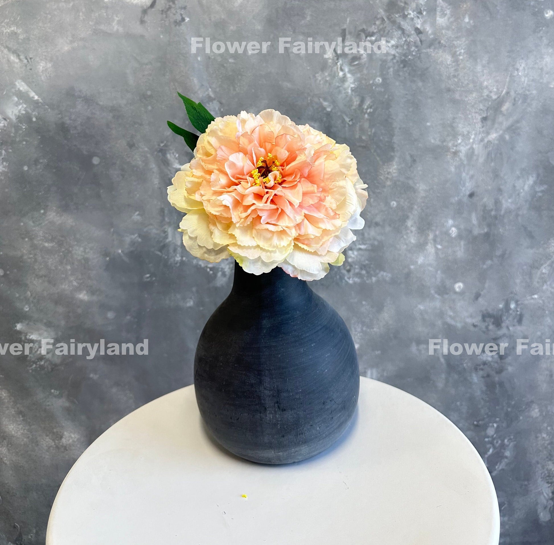 Peach huge peony bloom close-up
