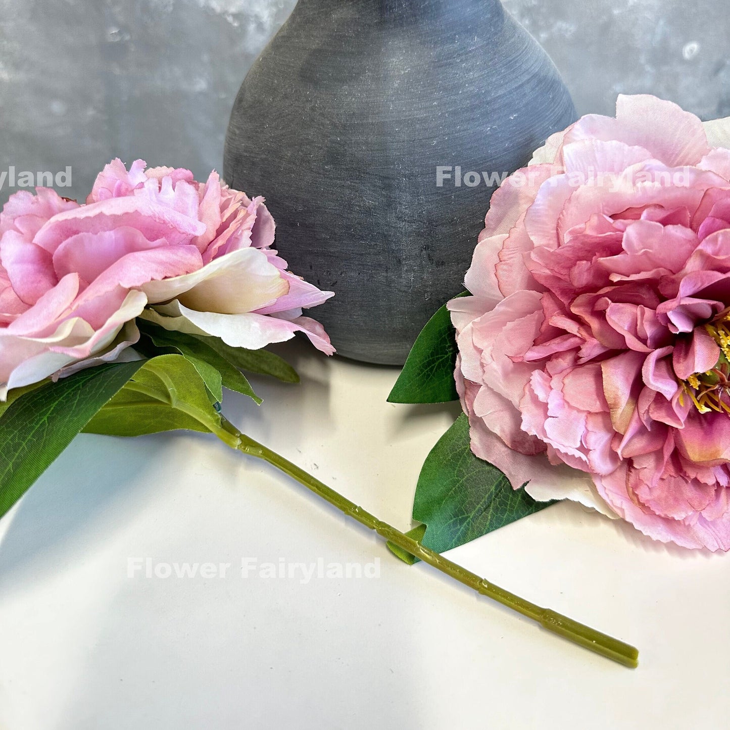 Dark mauve huge peony flower detail