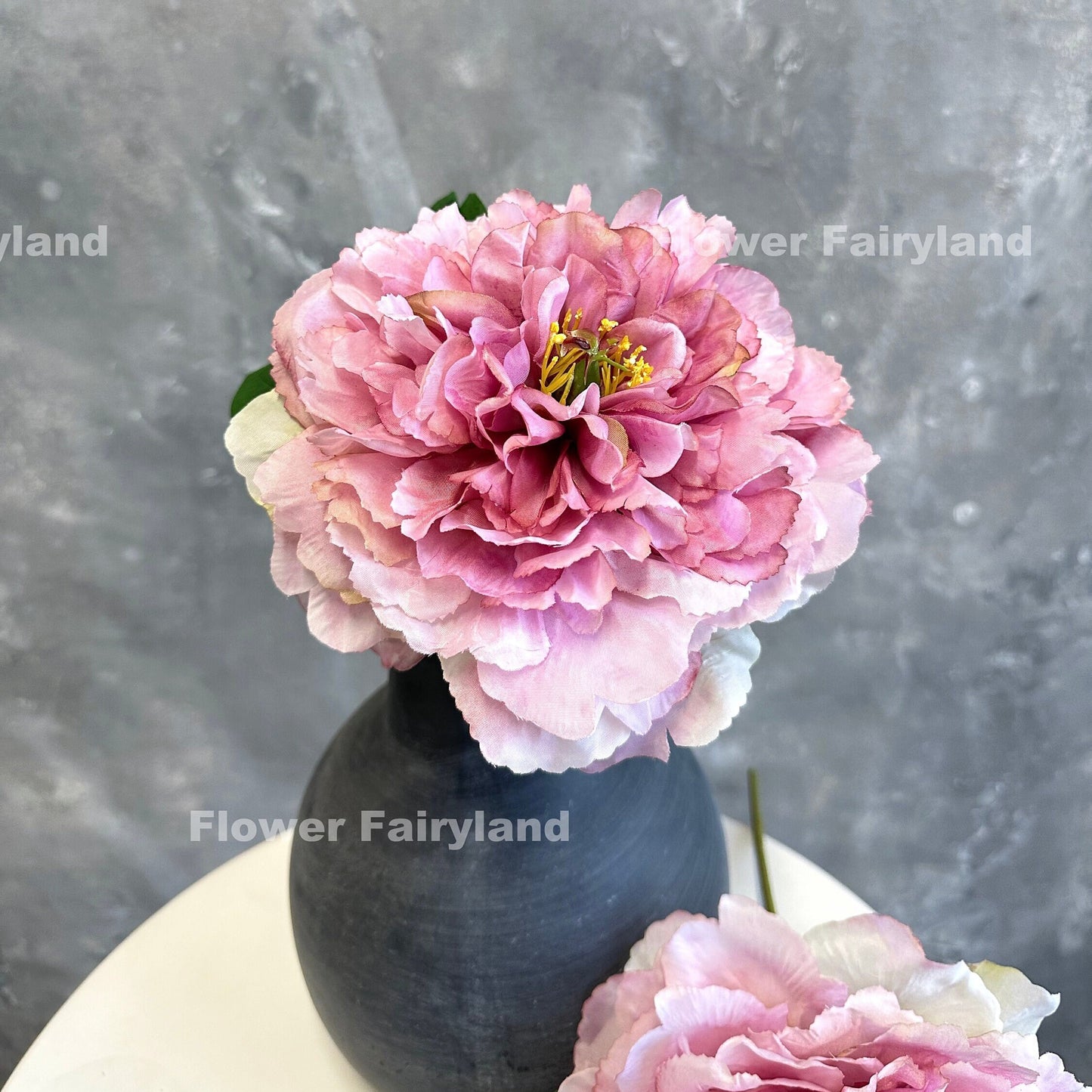 Dark mauve huge peony bloom close-up