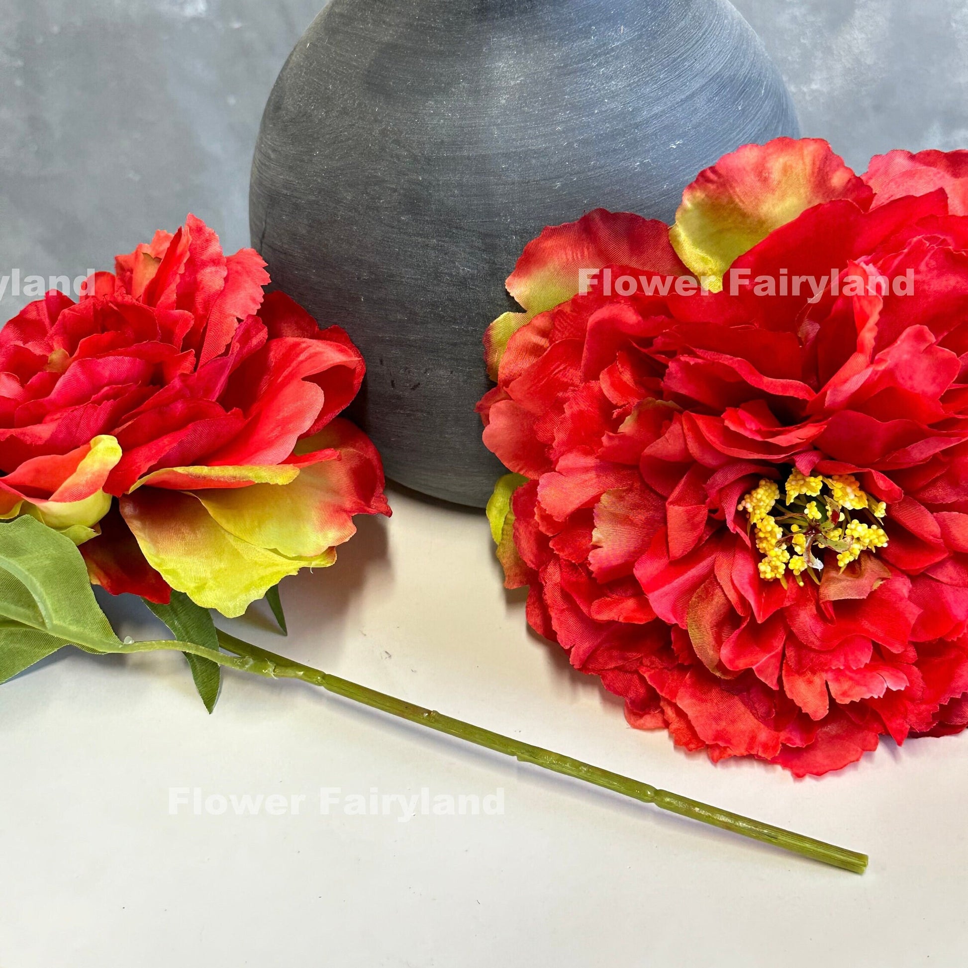 Red huge peony flower detail