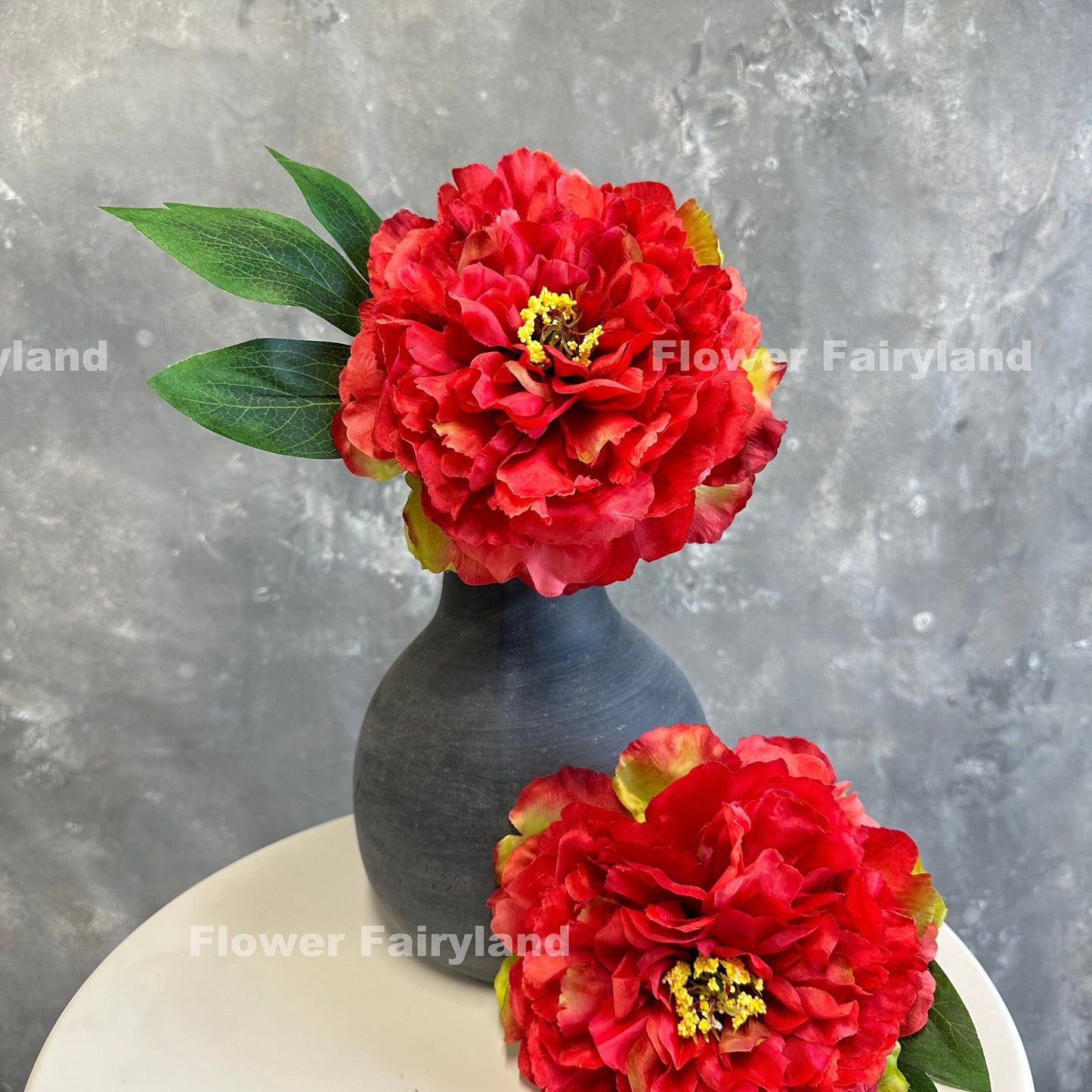 Red huge peony bloom close-up