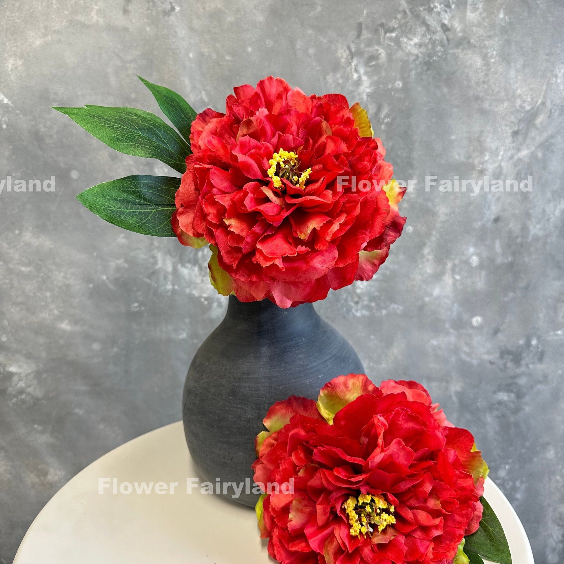 Red huge peony bloom close-up
