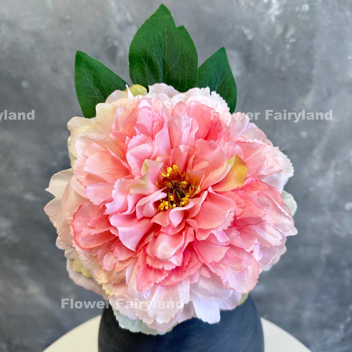 Pink huge peony flower detail