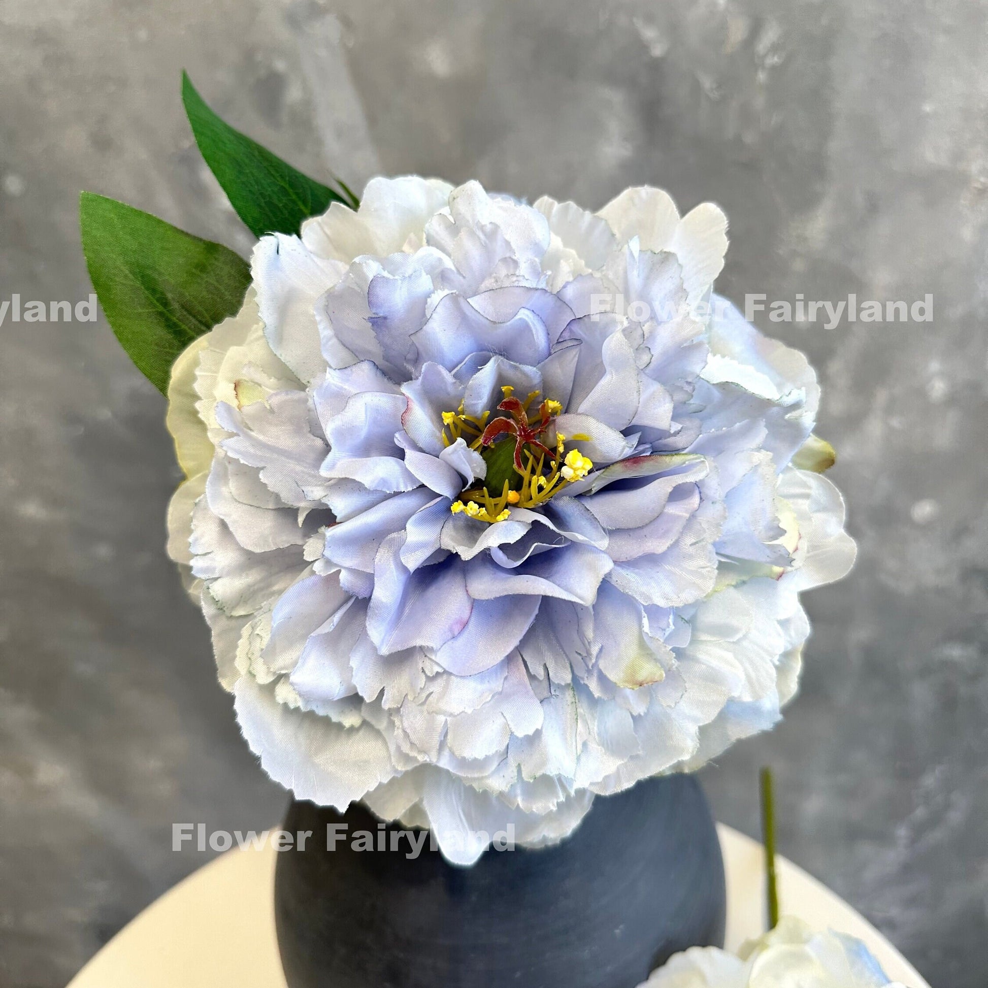 Light violet huge peony bloom in a vase