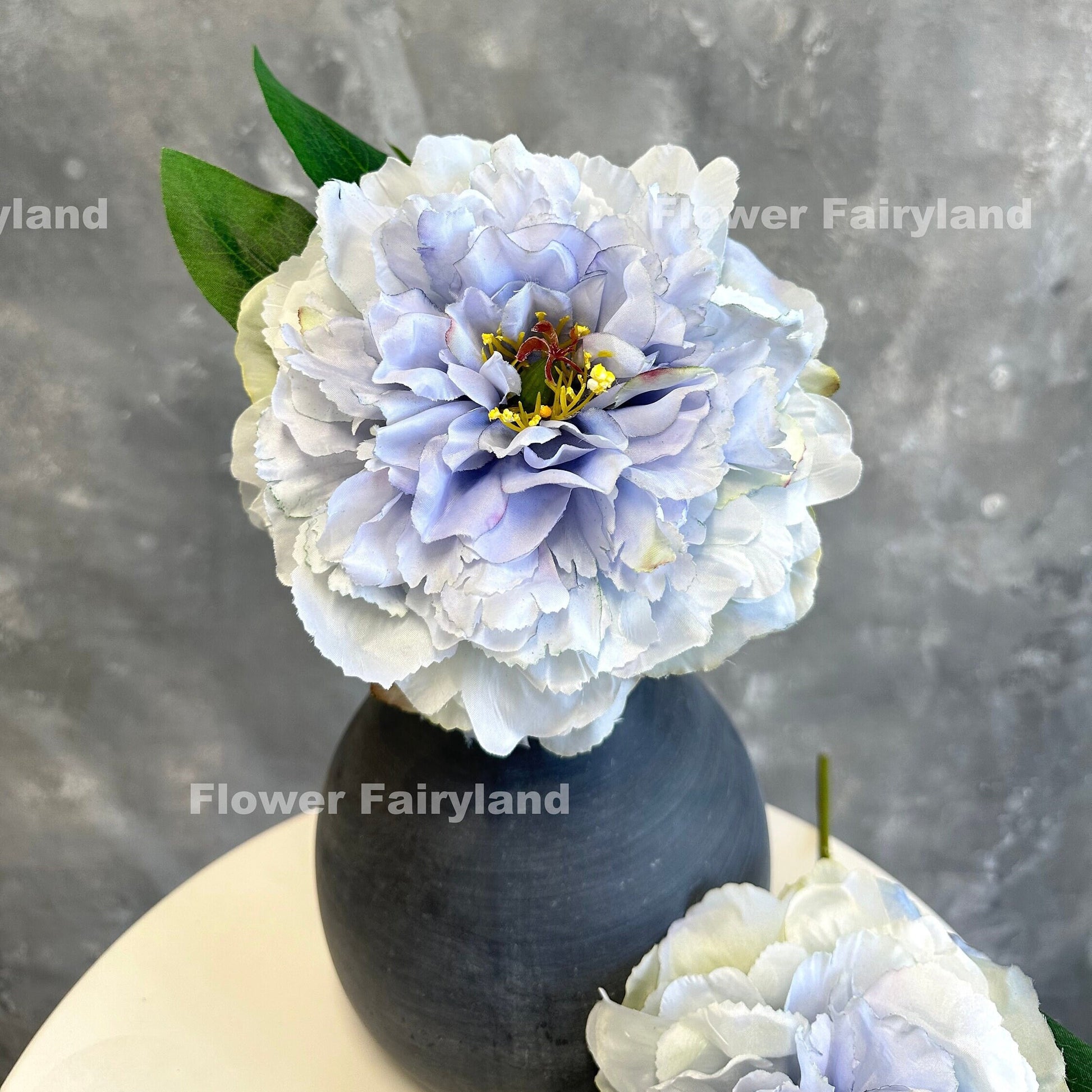 Light violet huge peony stem full view