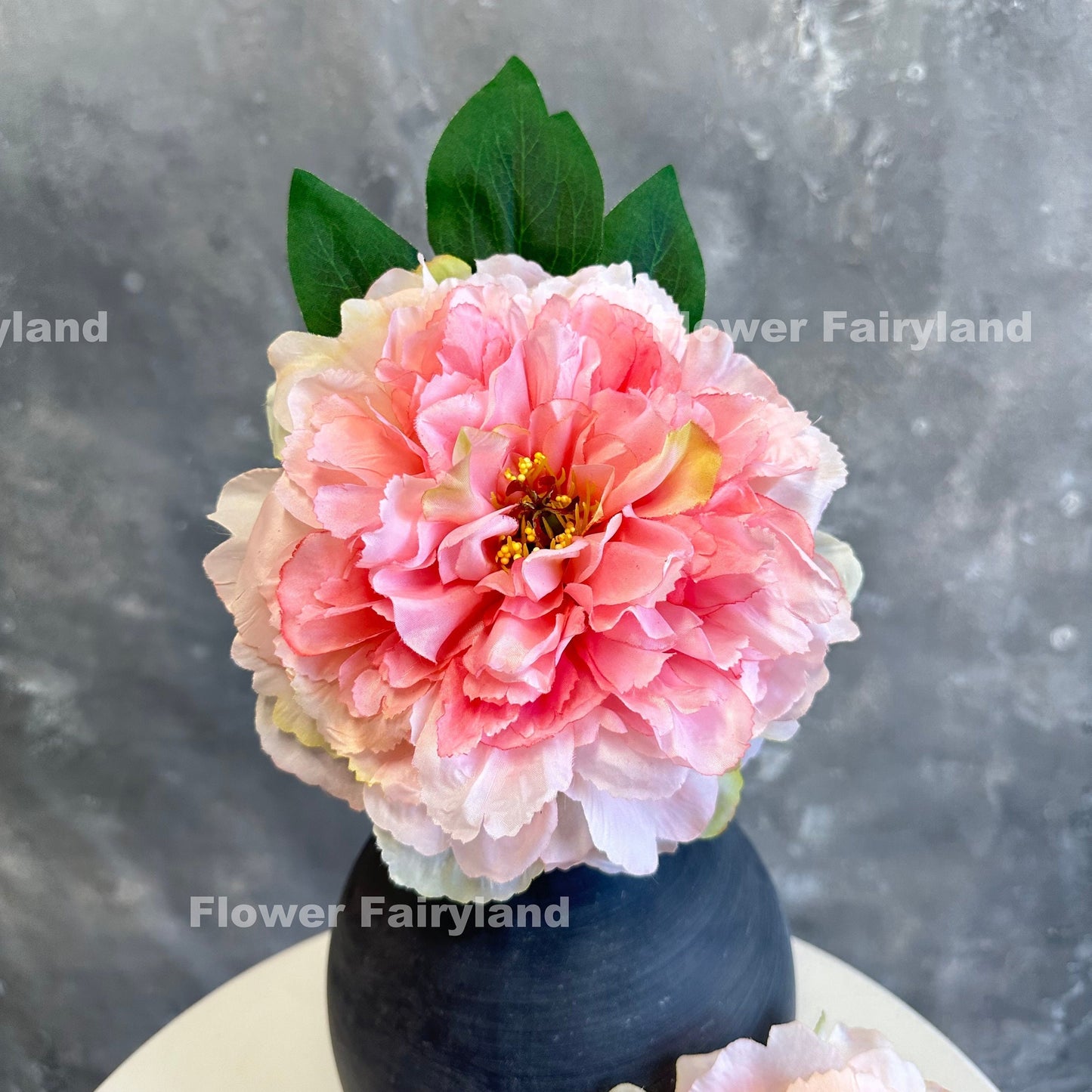 Pink huge peony bloom in a vase