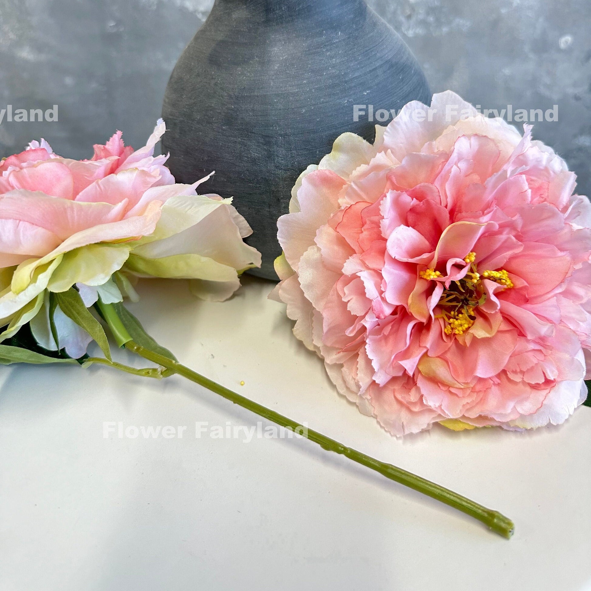Pink huge peony stem full view