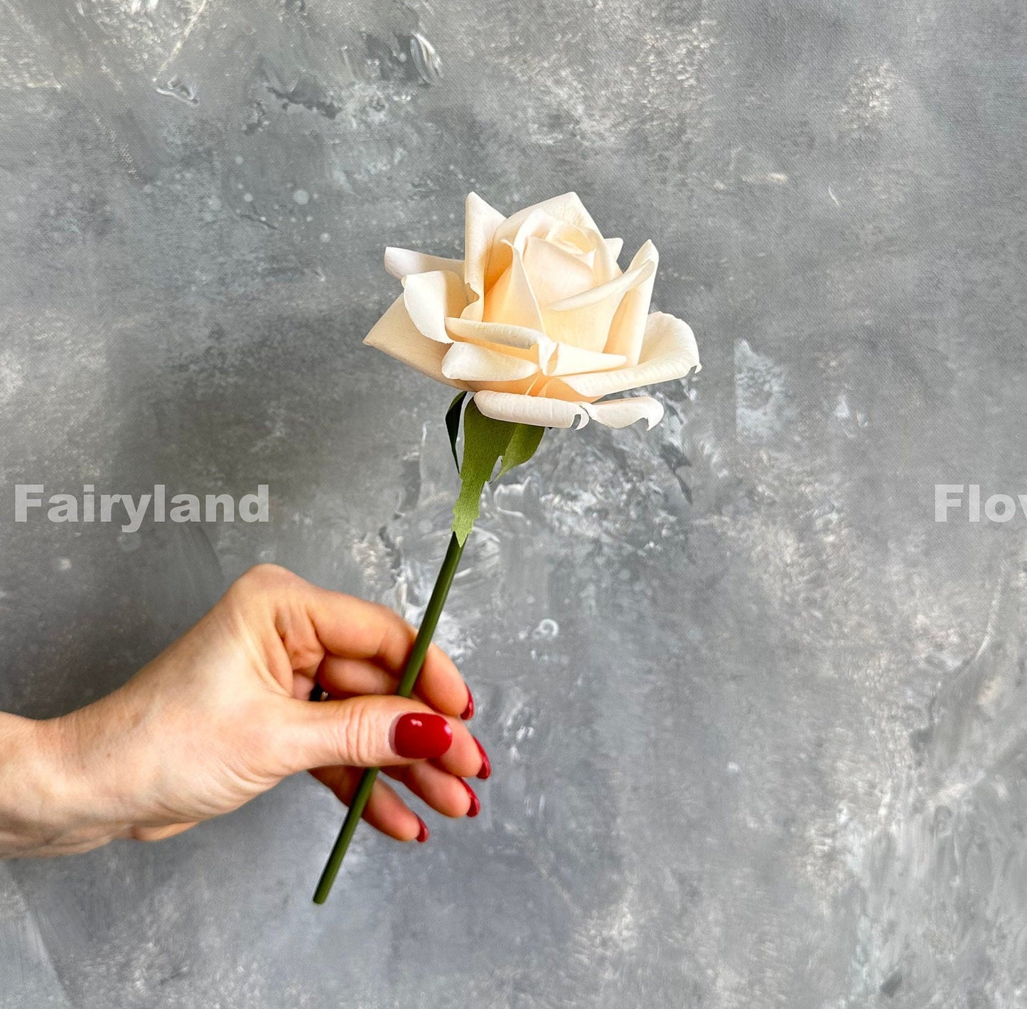 Single soft peach rose stem held in hand