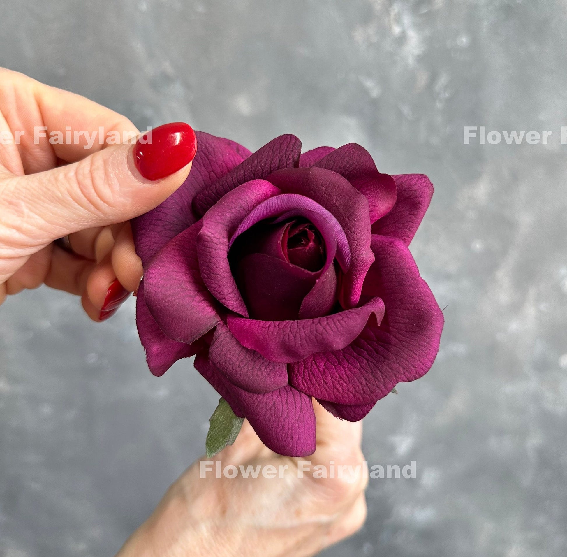 Single dark purple rose stem