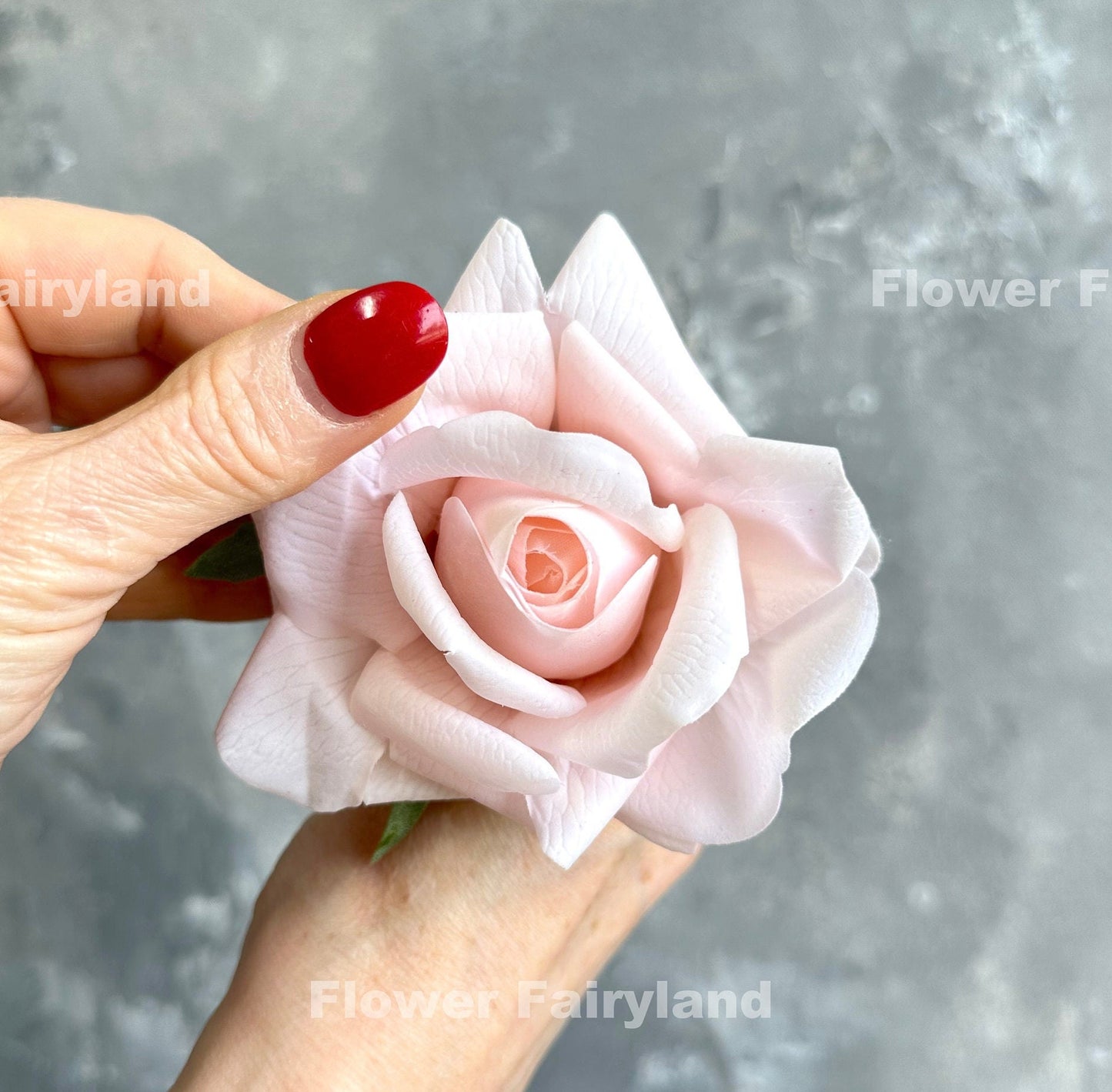 Pale pink rose petal texture