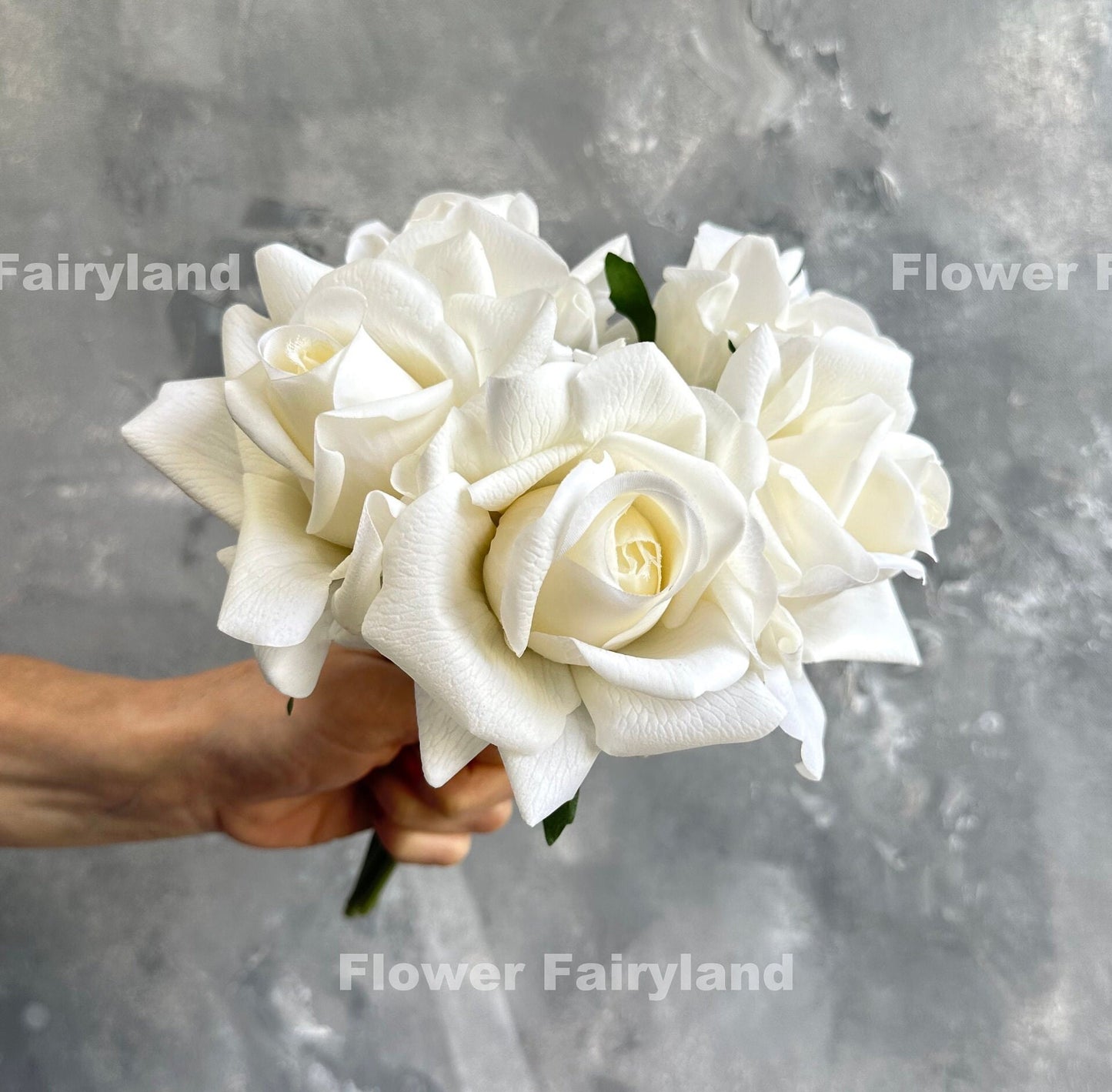 Milky white rose petal detail