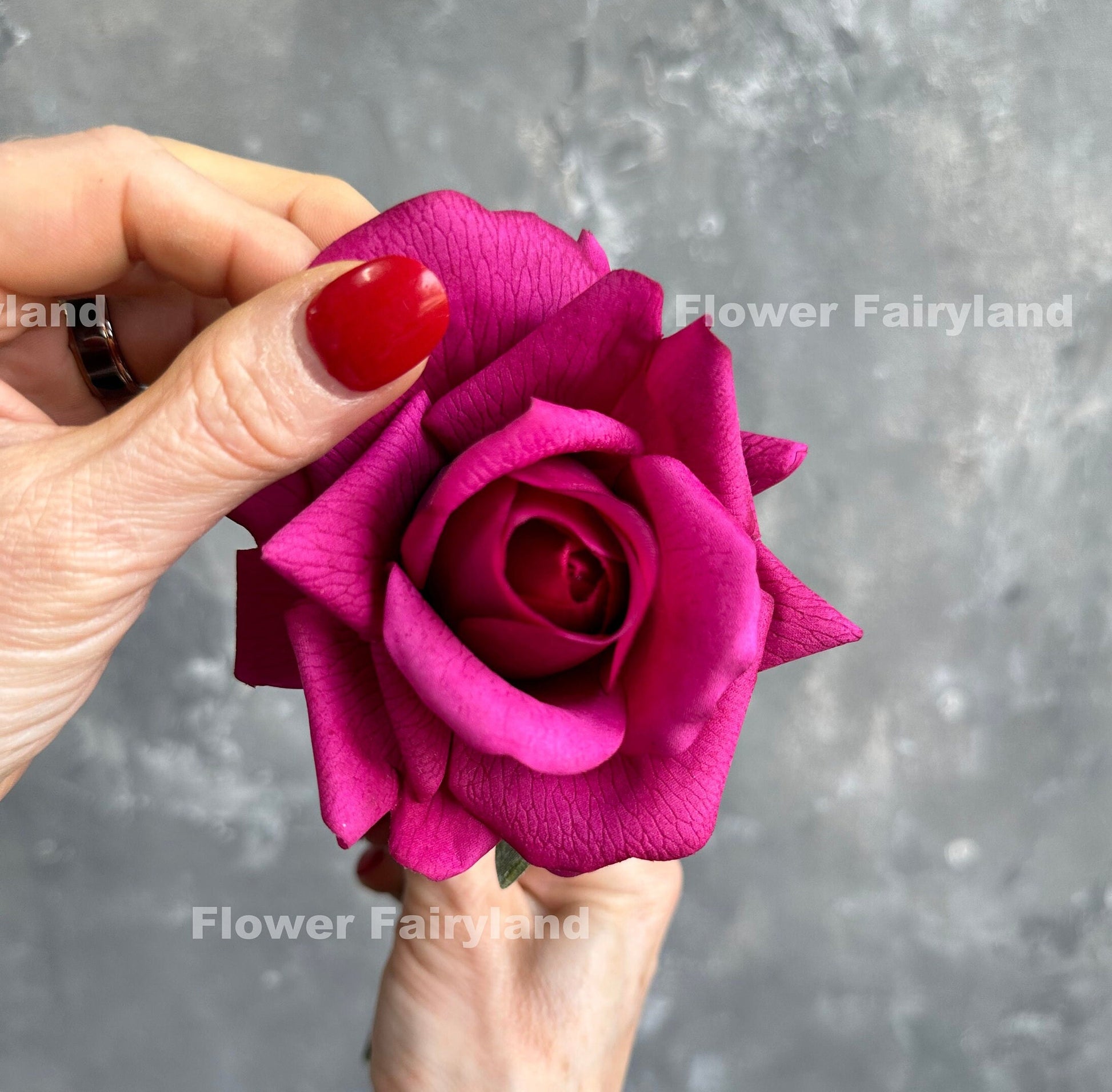 Deep magenta rose bouquet in hand