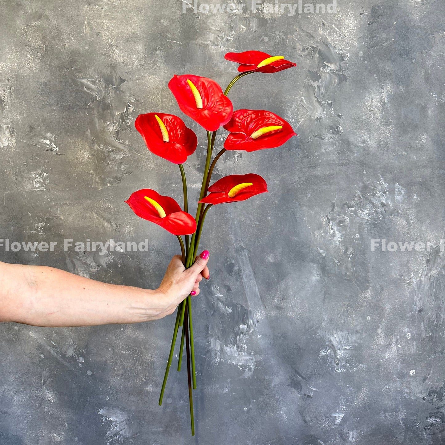 Red anthurium stems held in hand
