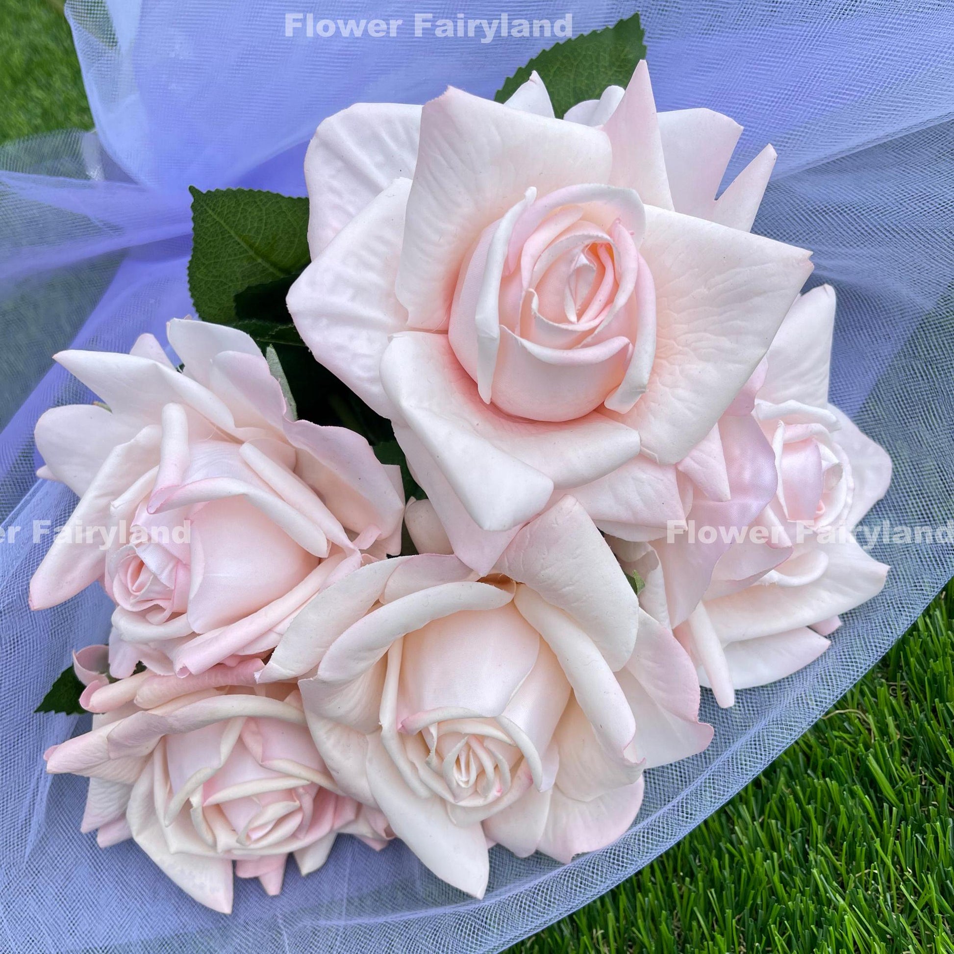 Pale pink full bloom rose blooms detail