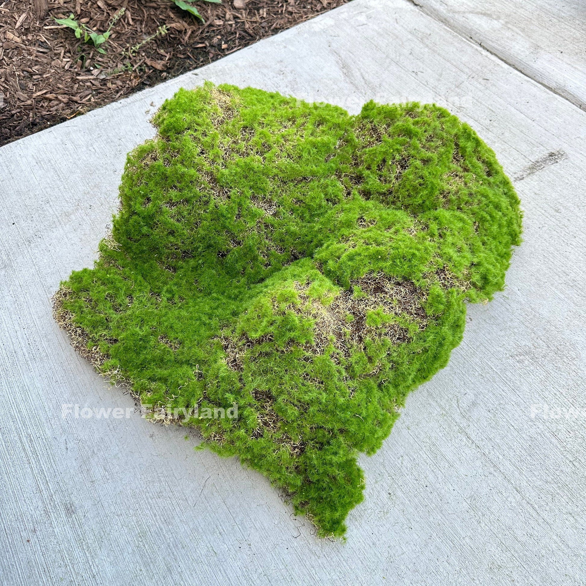 Faux bryophyta moss piece styling