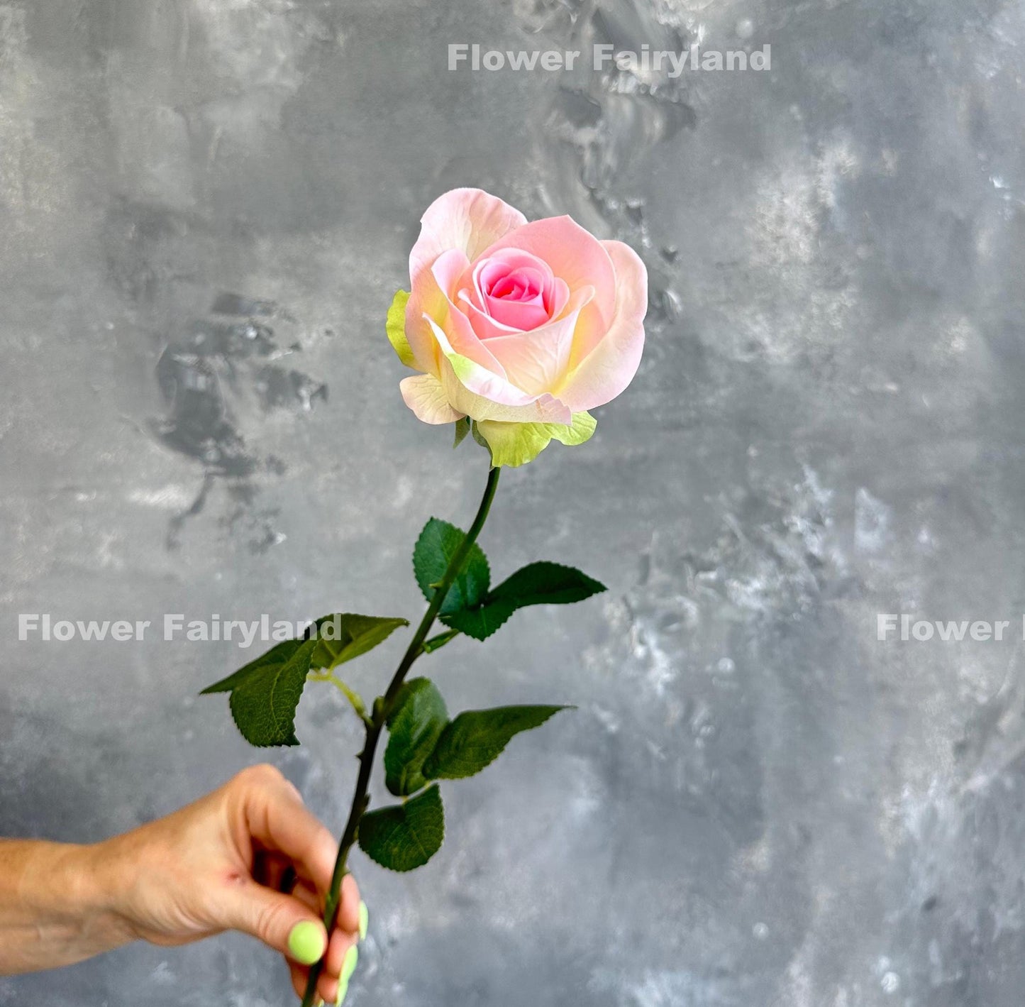 Real touch half opened rose single long stem in light greenish pink
