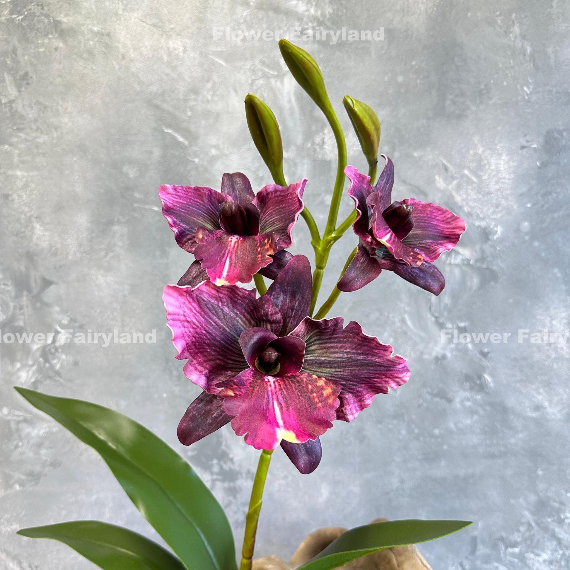 Dark magenta faux cattleya orchid held in hand