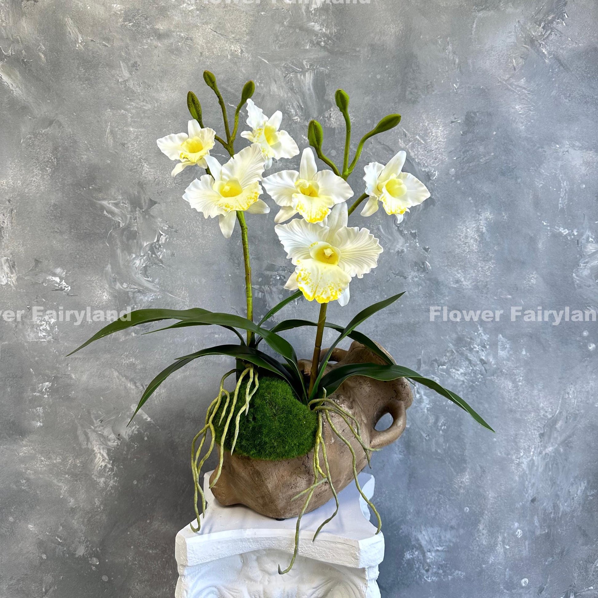 Faux cattleya orchid in white with leaves and roots