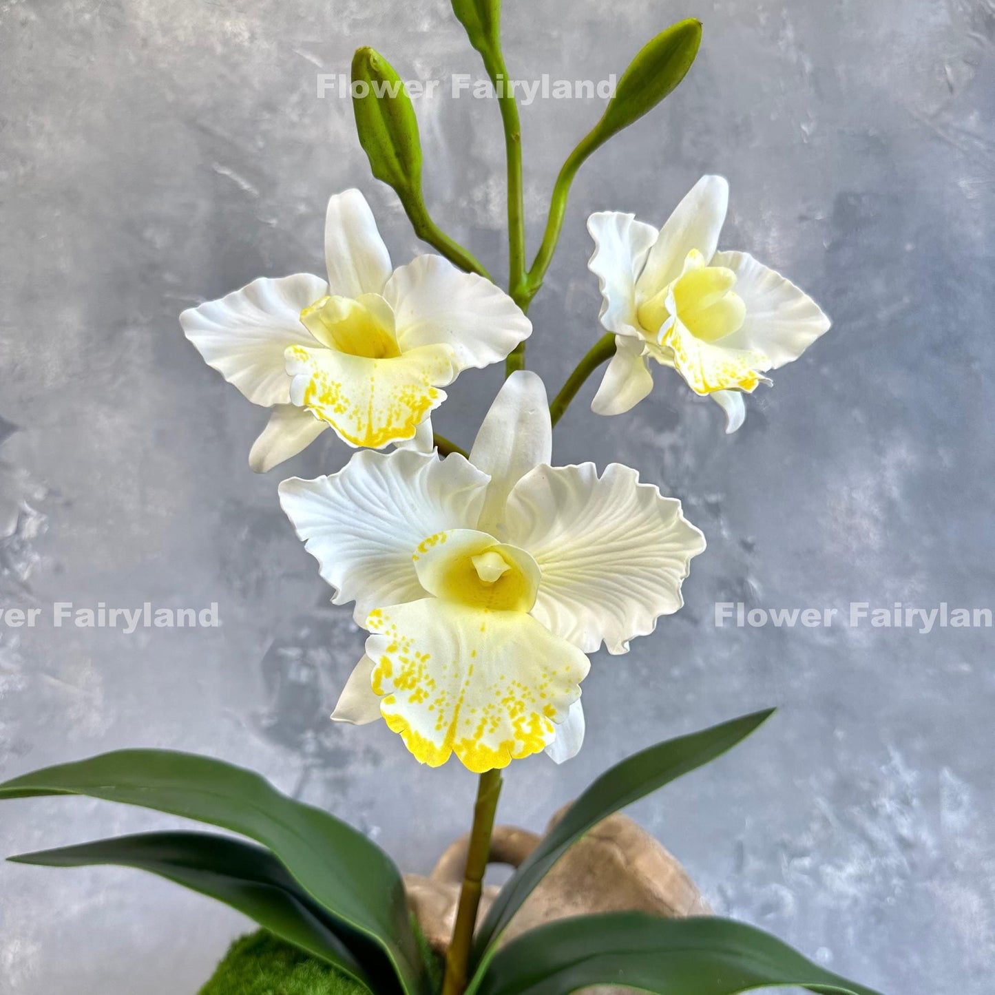 White faux cattleya orchid flower detail