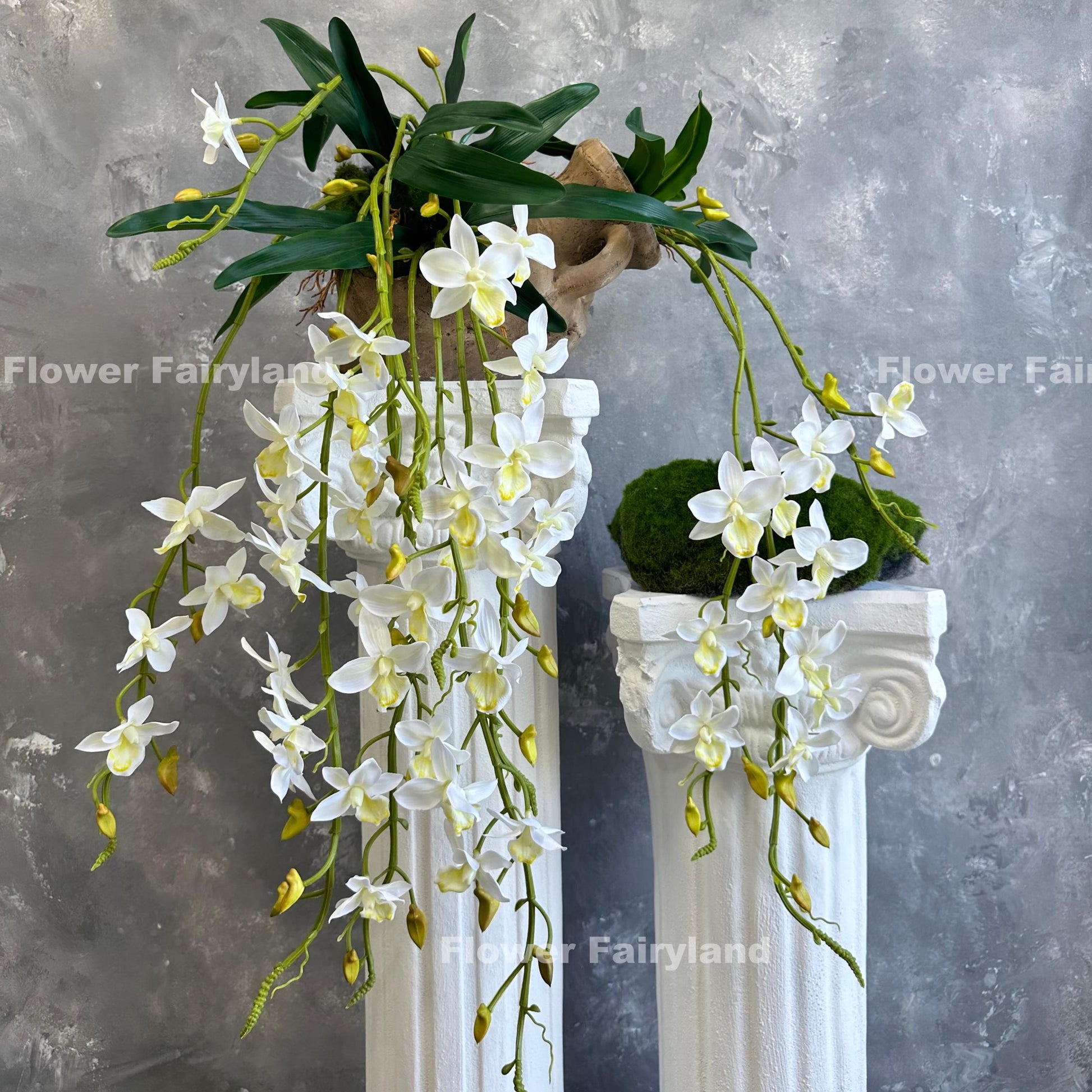White hanging orchid styled on wall