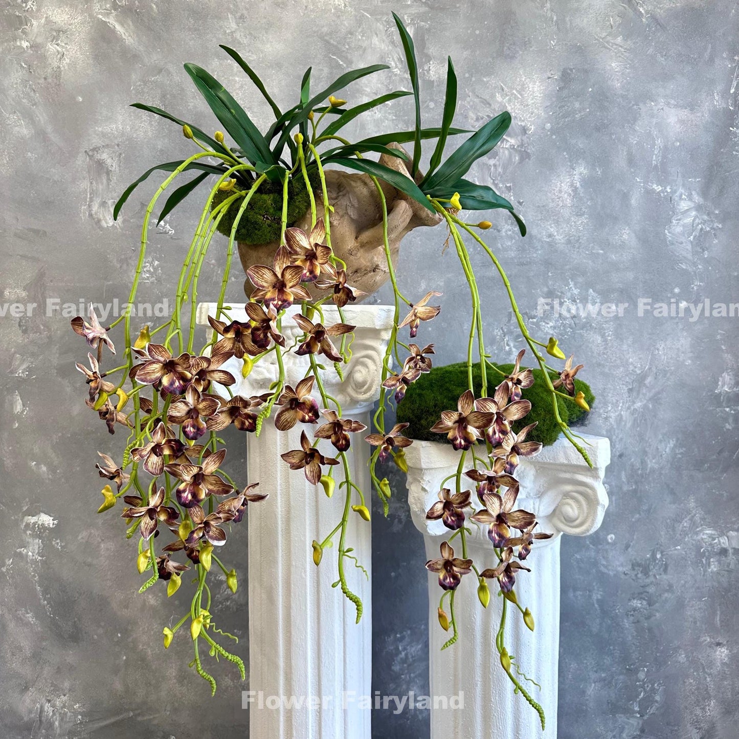 Brown hanging orchid styled on wall