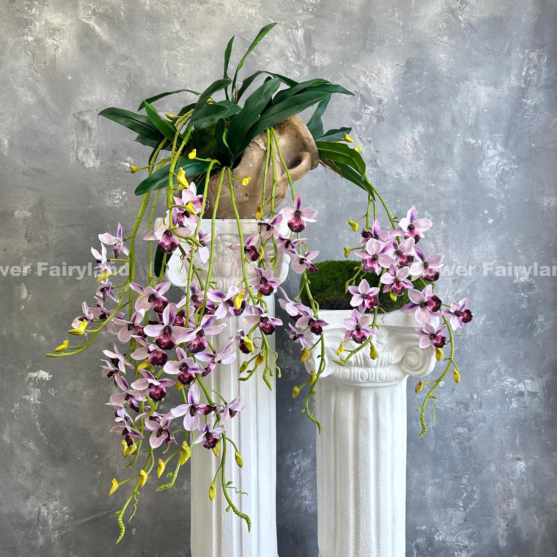 Purplish pink hanging orchid styled on wall