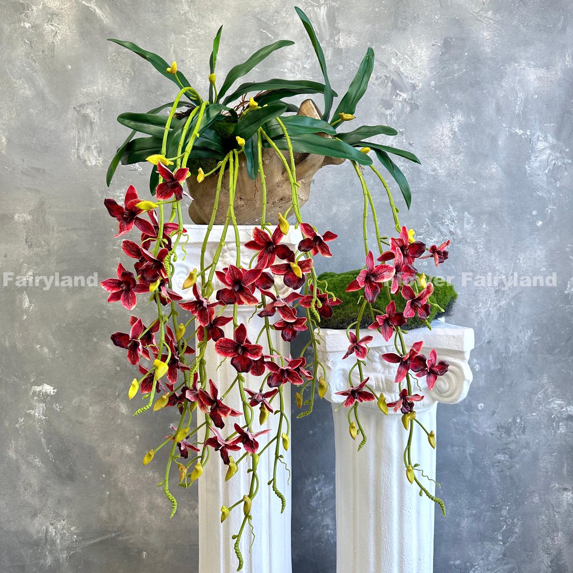 Red hanging orchid styled on wall