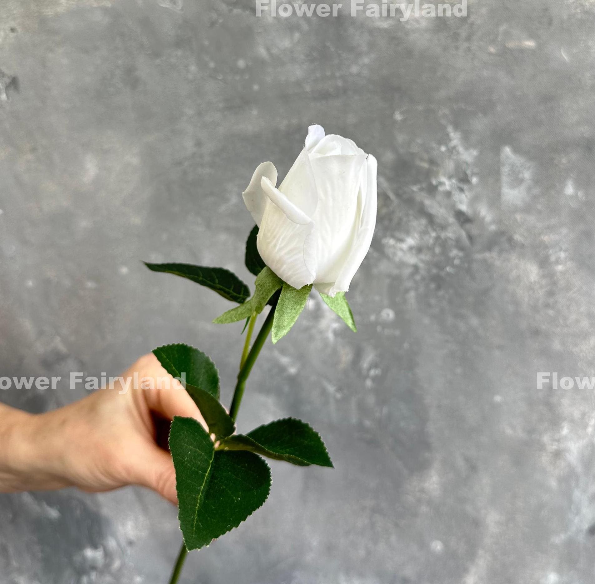 Real touch white rose bud single stem held in hand