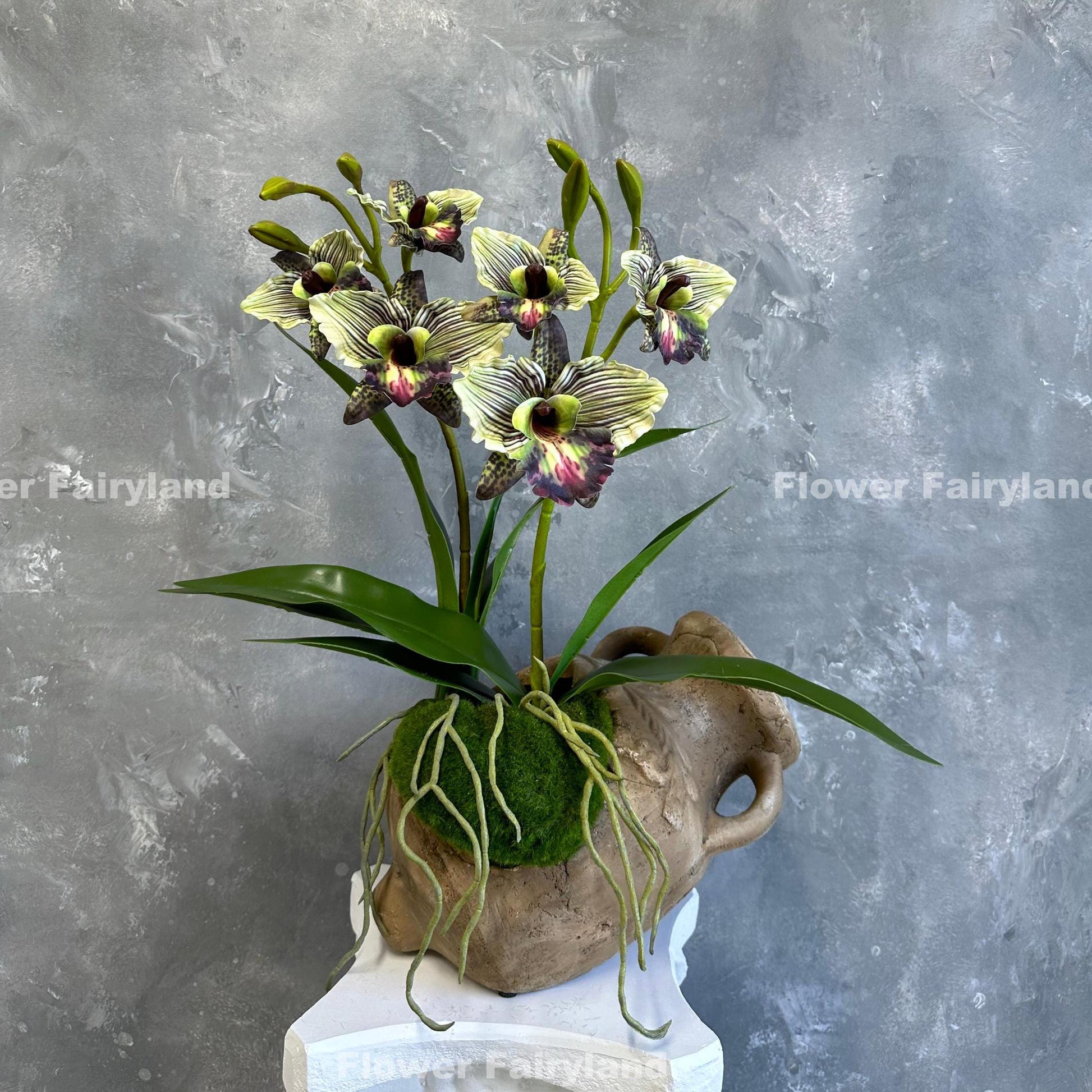 Faux cattleya orchid in green with leaves and roots