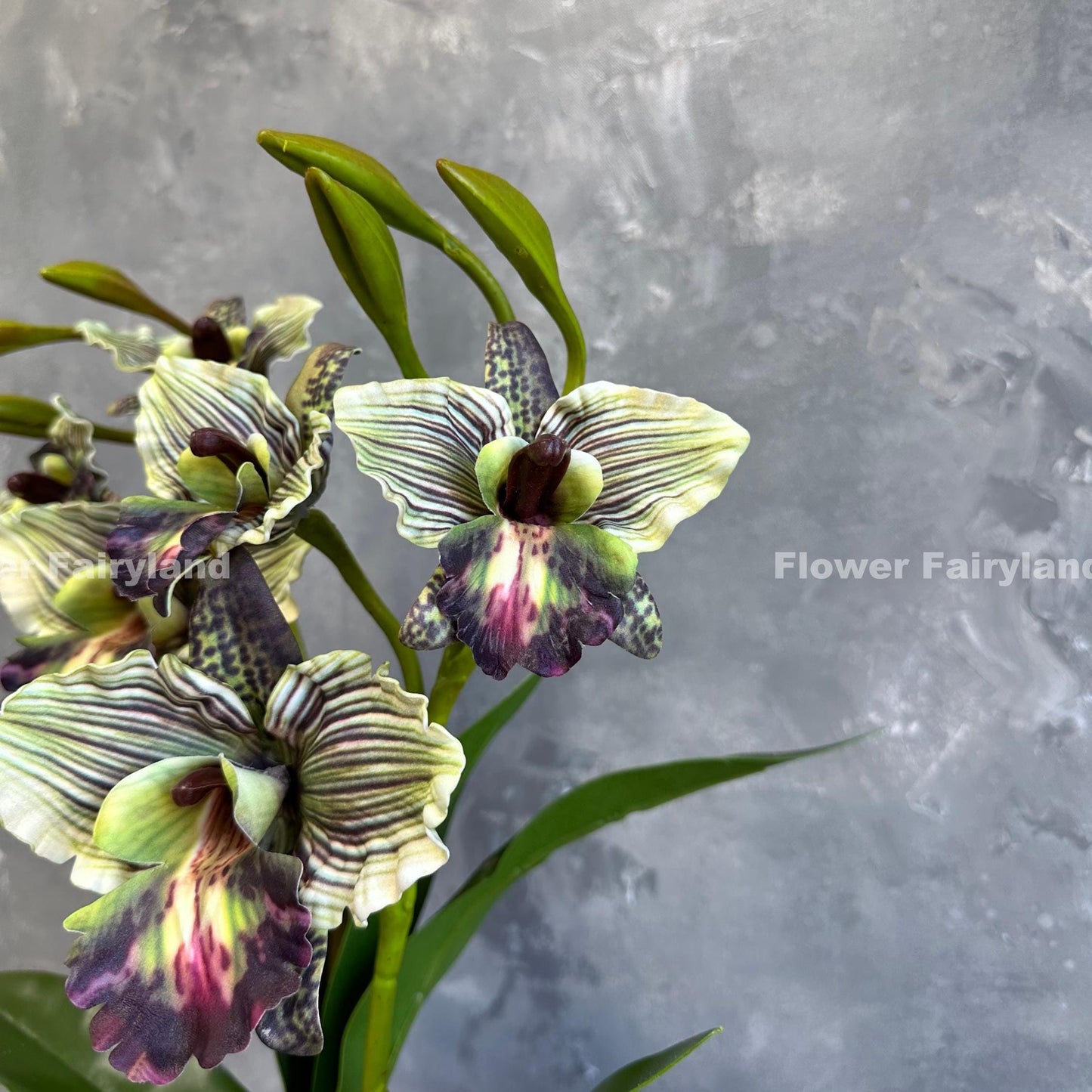 Green faux cattleya orchid full view