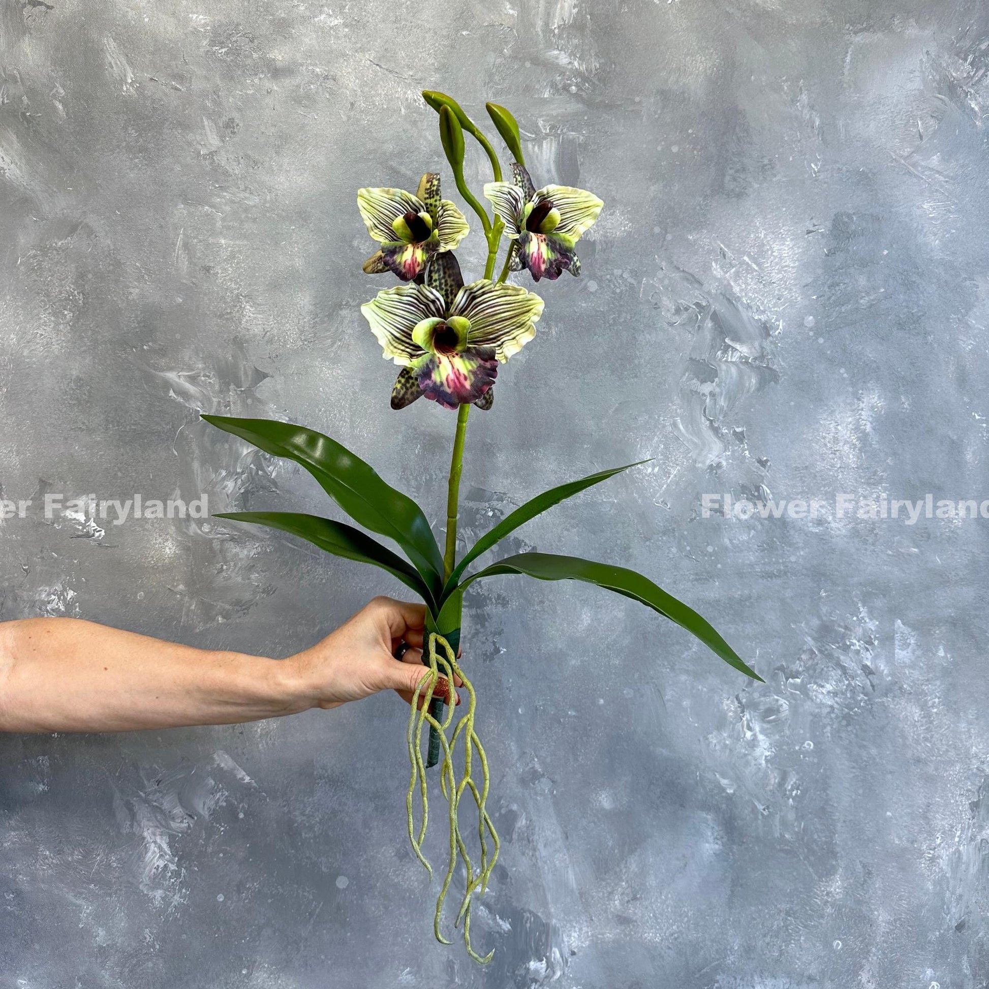 Green faux cattleya orchid held in hand