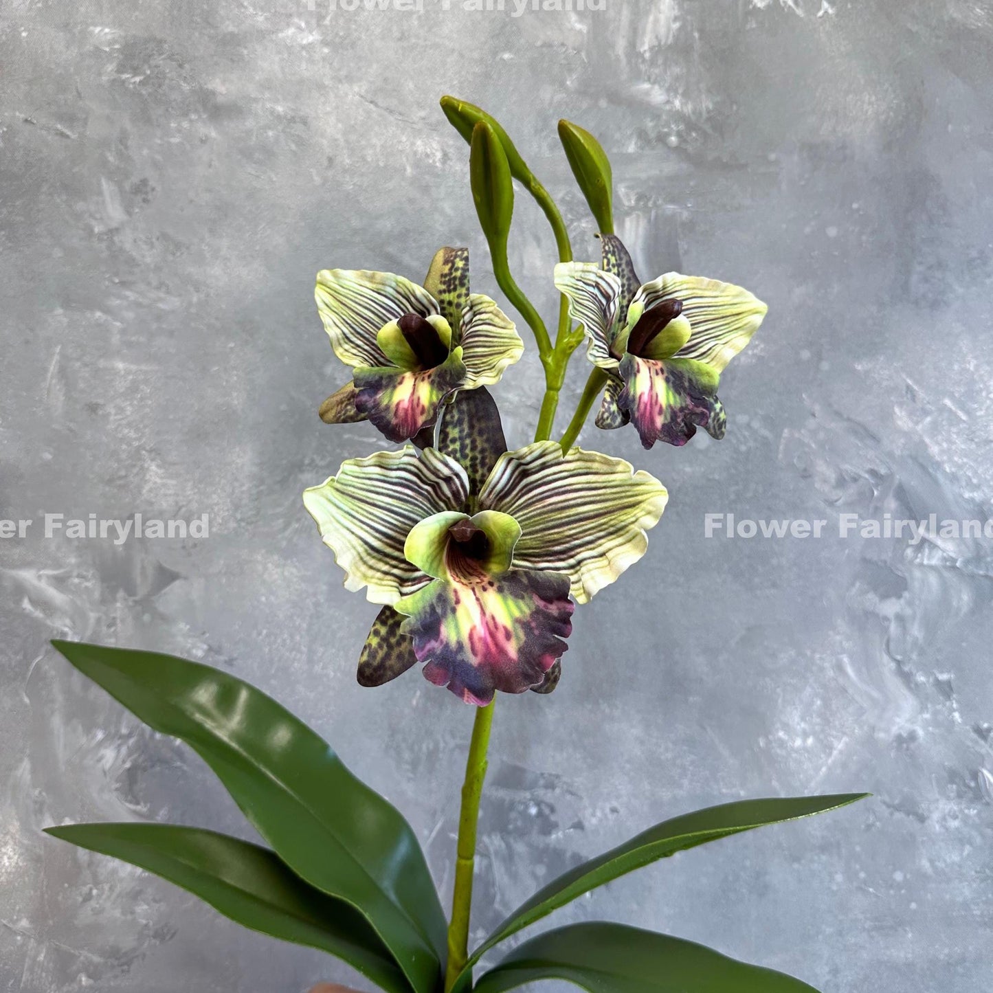 Green faux cattleya orchid flower detail