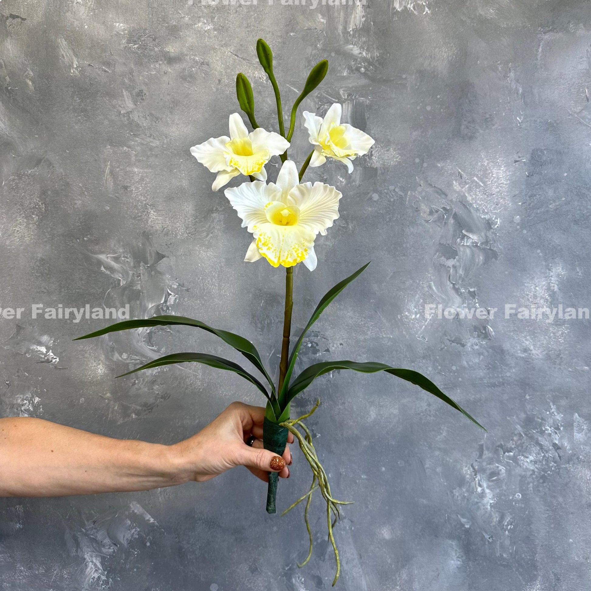 White faux cattleya orchid held in hand