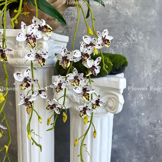 Dotted hanging orchid bloom detail