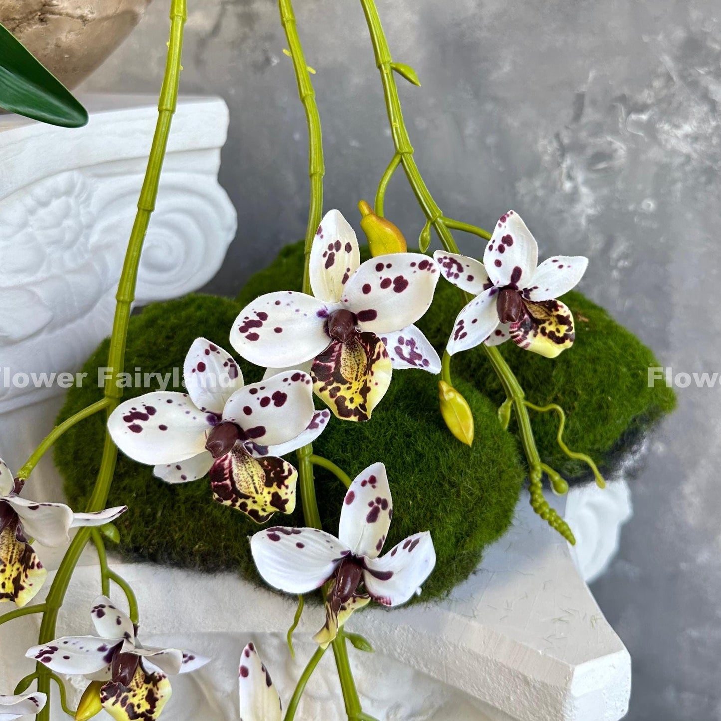 Dotted hanging orchid square cover