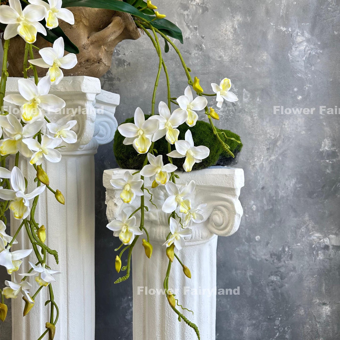 White faux hanging Rodriguezia orchid