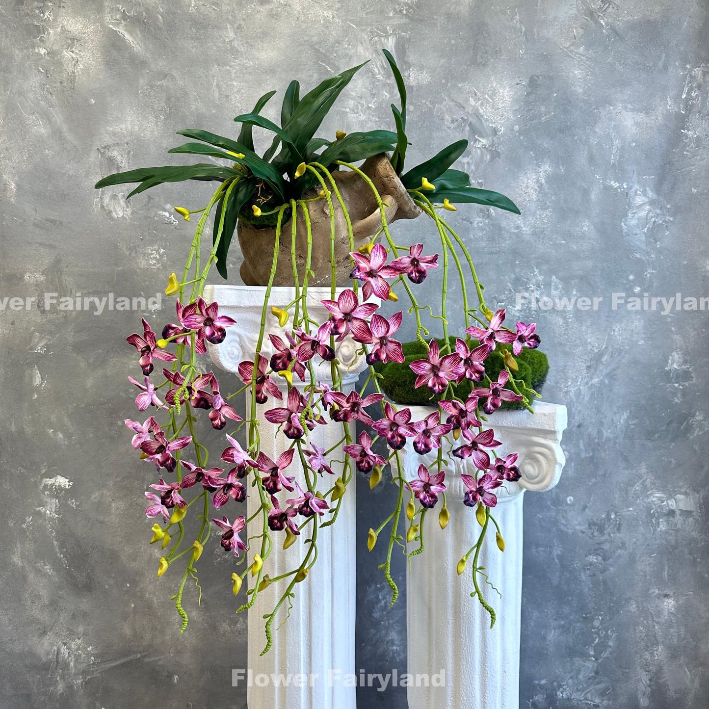 Bright pink hanging orchid styled on wall