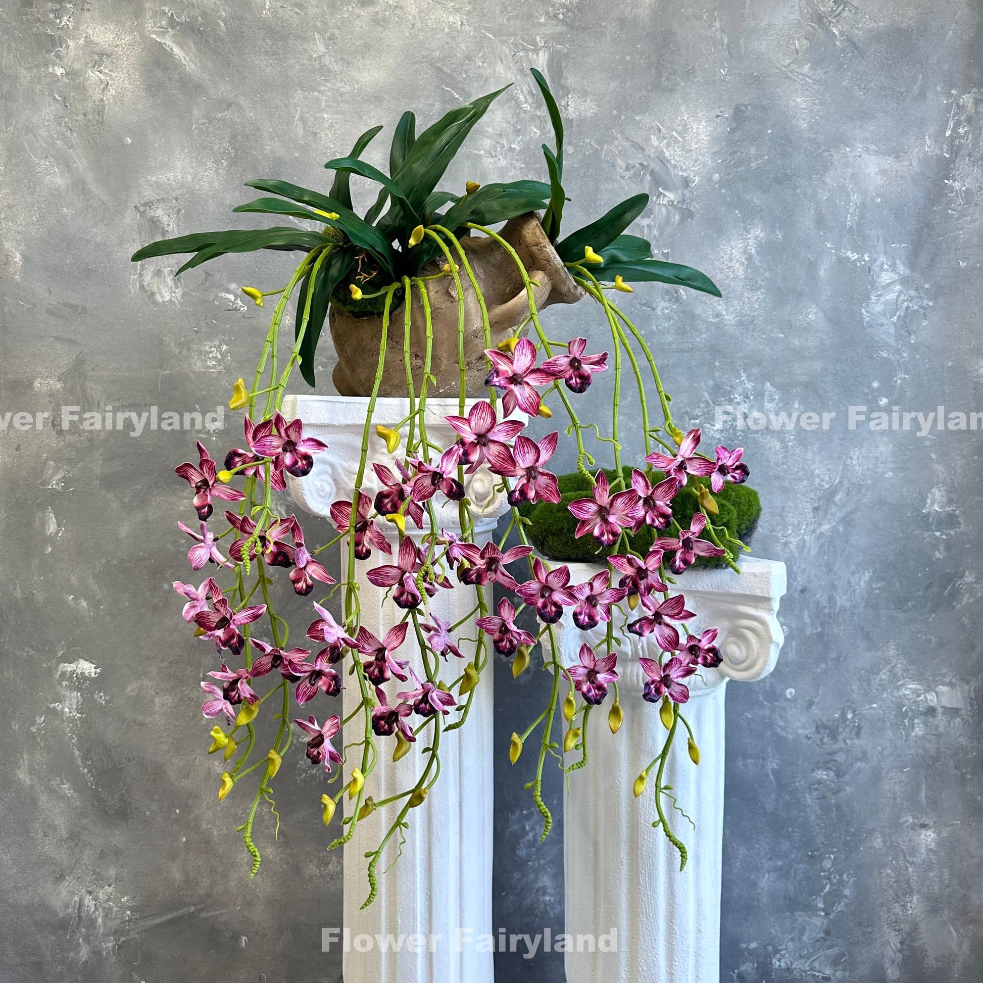 Bright pink hanging orchid styled on wall
