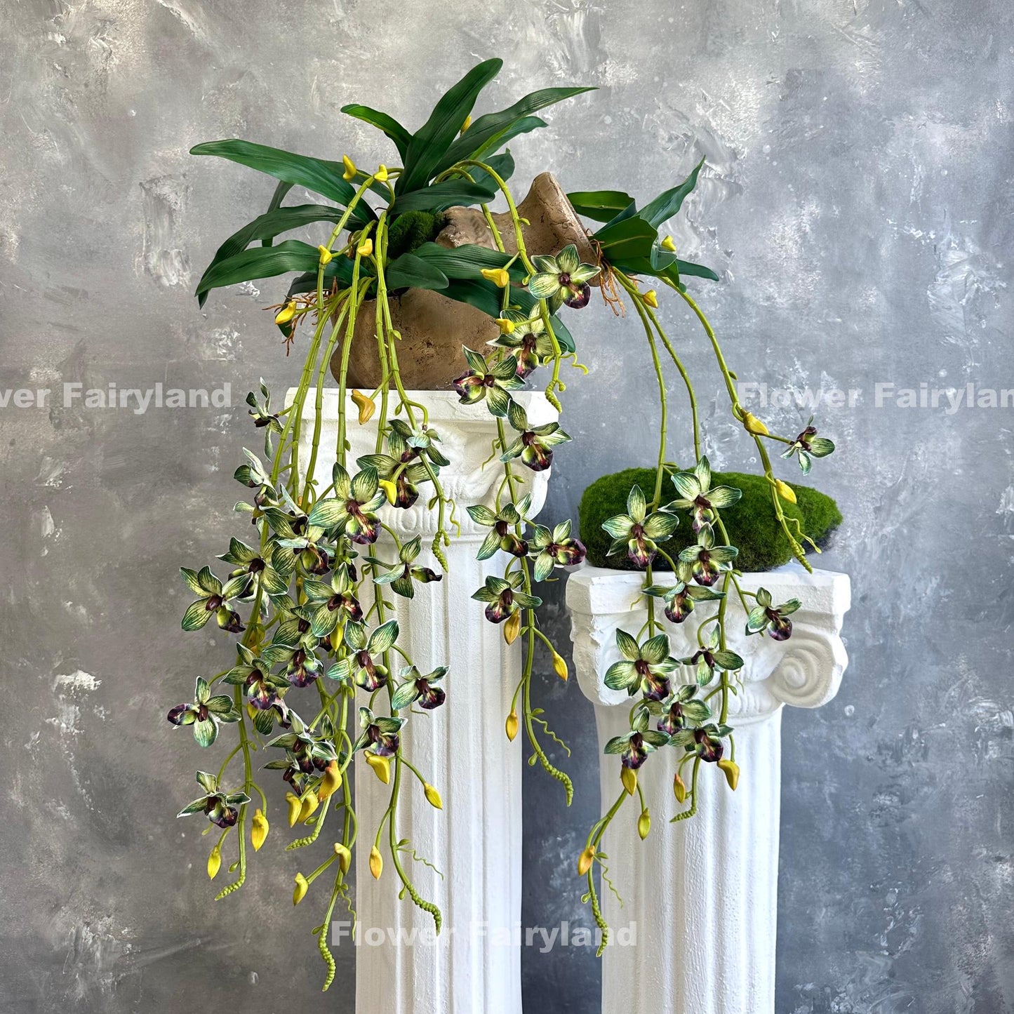 Green hanging orchid styled on wall