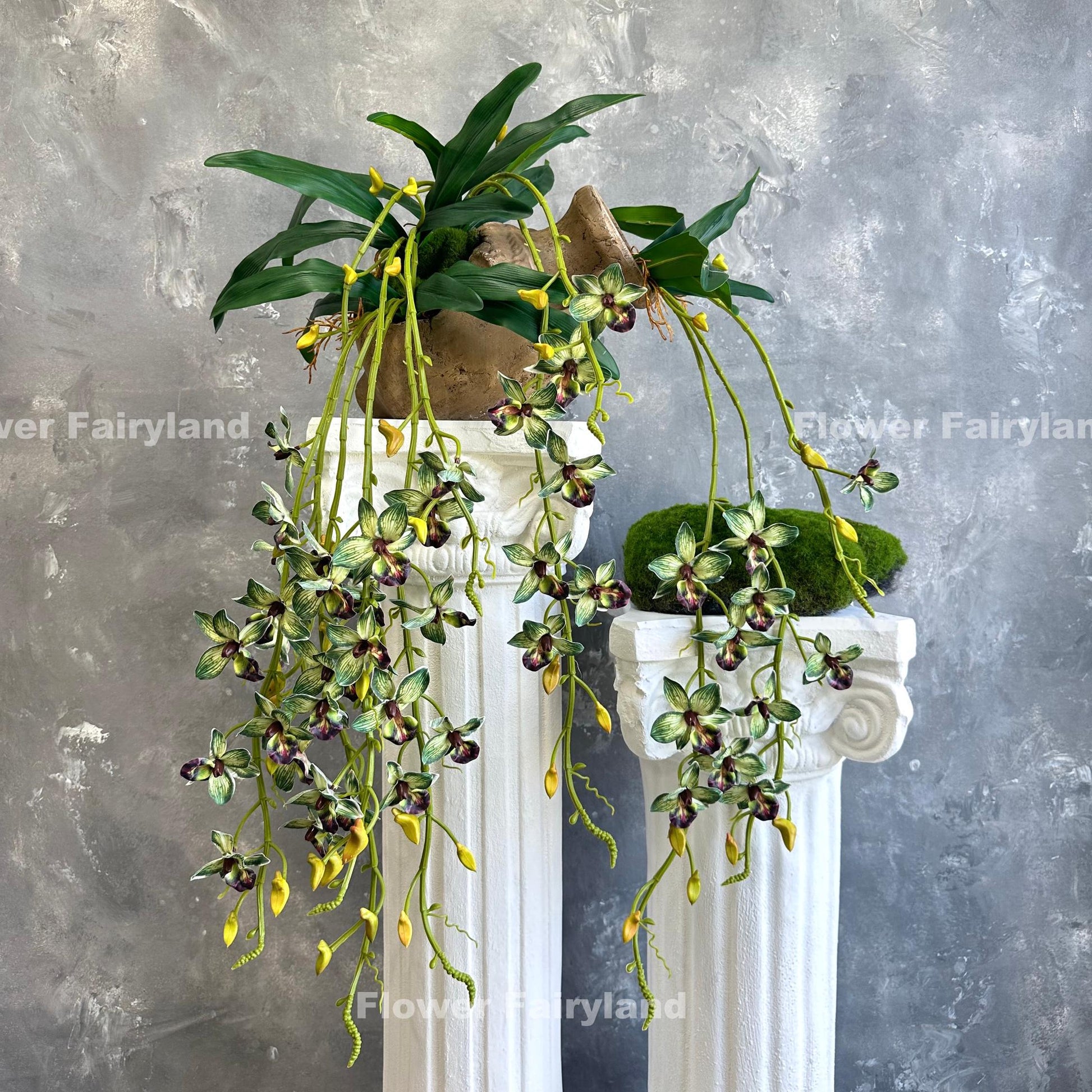 Green hanging orchid styled on wall