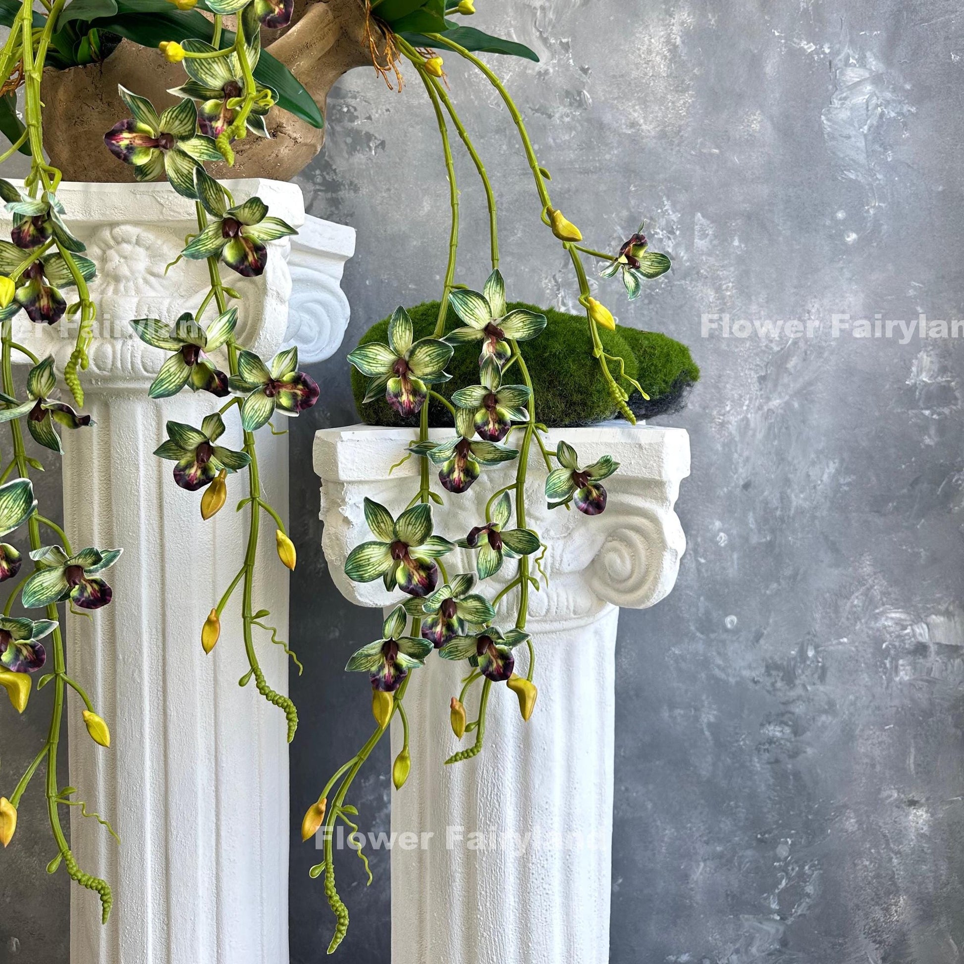 Green faux hanging Rodriguezia orchid with leaves and roots