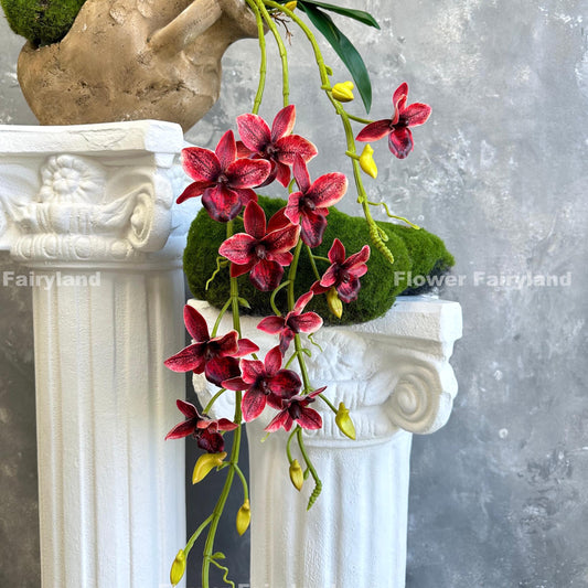 Red faux hanging Rodriguezia orchid with leaves and roots